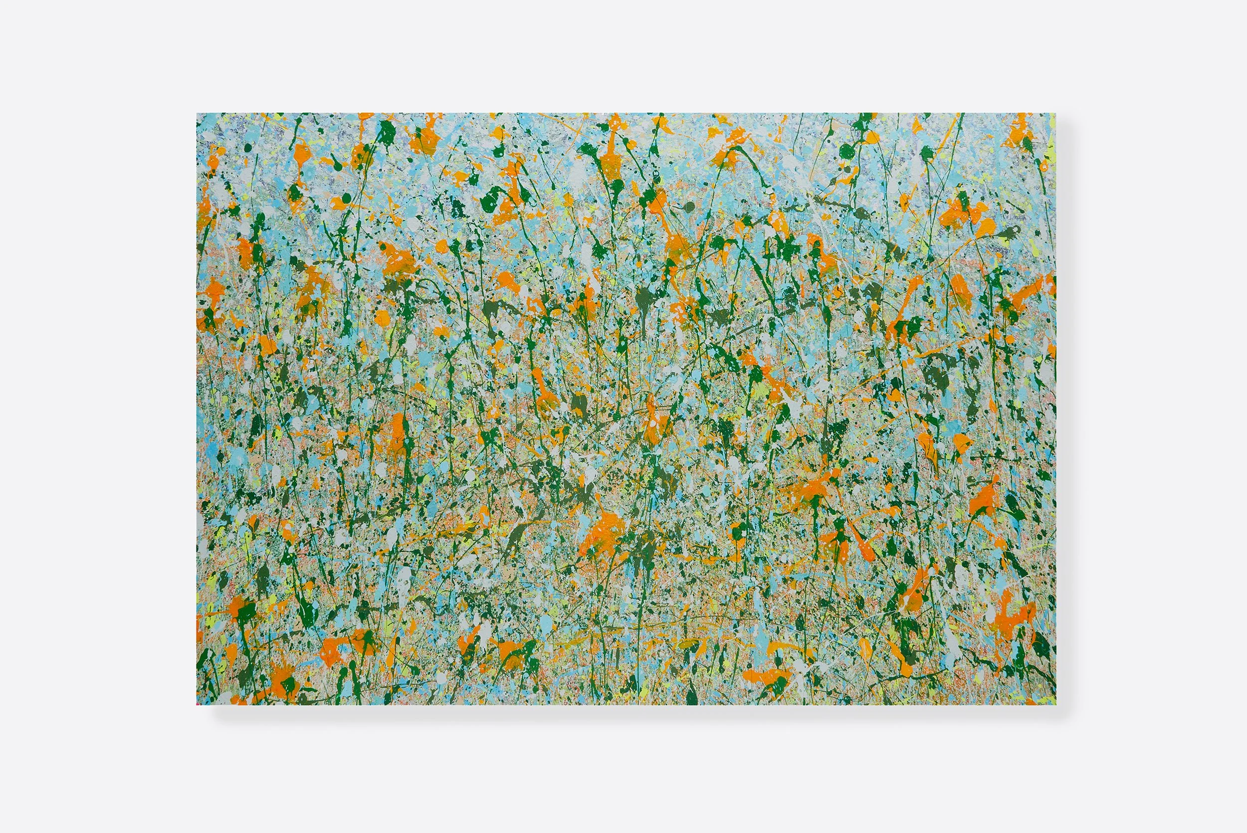V2025-DYLAN-BARTOLINI-VOLK-RR57X85-ISH-INCH 5 copy.jpg