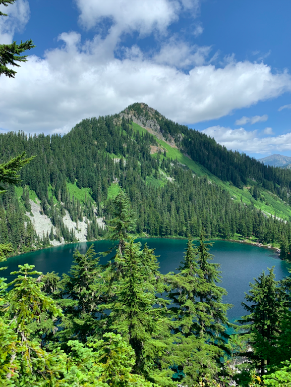 Screen Shot 2021-10-29 at 10.43.40 AM.png