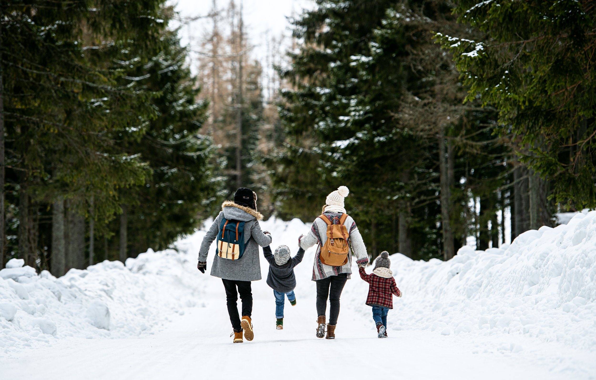 Guide: 33 Free Family Day Events in Edmonton - 2023
