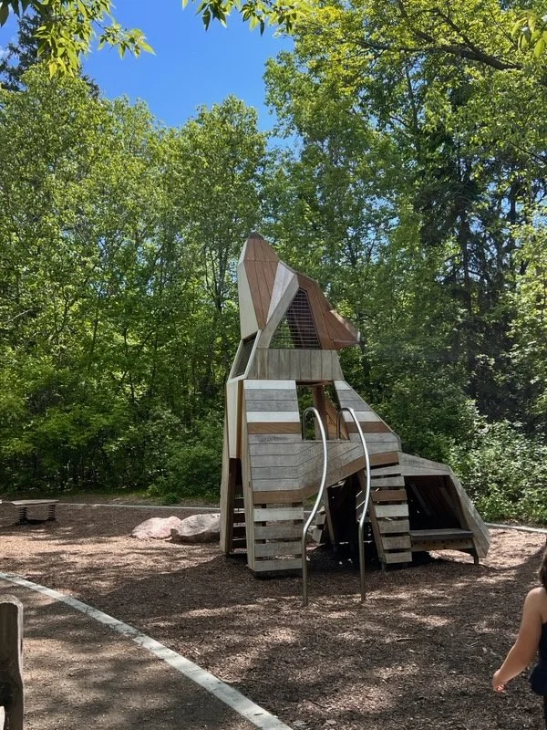 sir-wilfred-laurier-playground-edmonton-climb.jpeg
