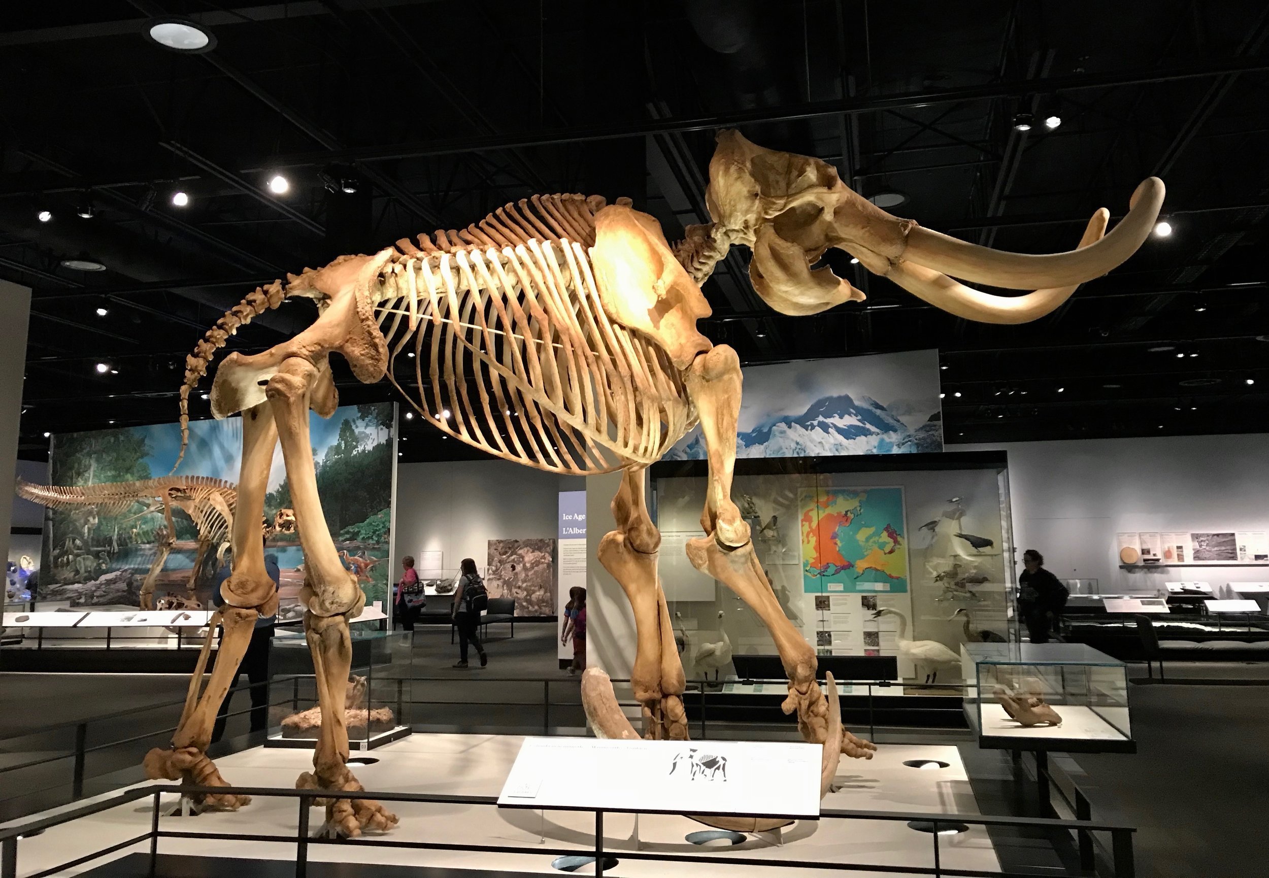 This New Experience Alberta’s History Annual Family Pass Provides Access to 12 Museums!