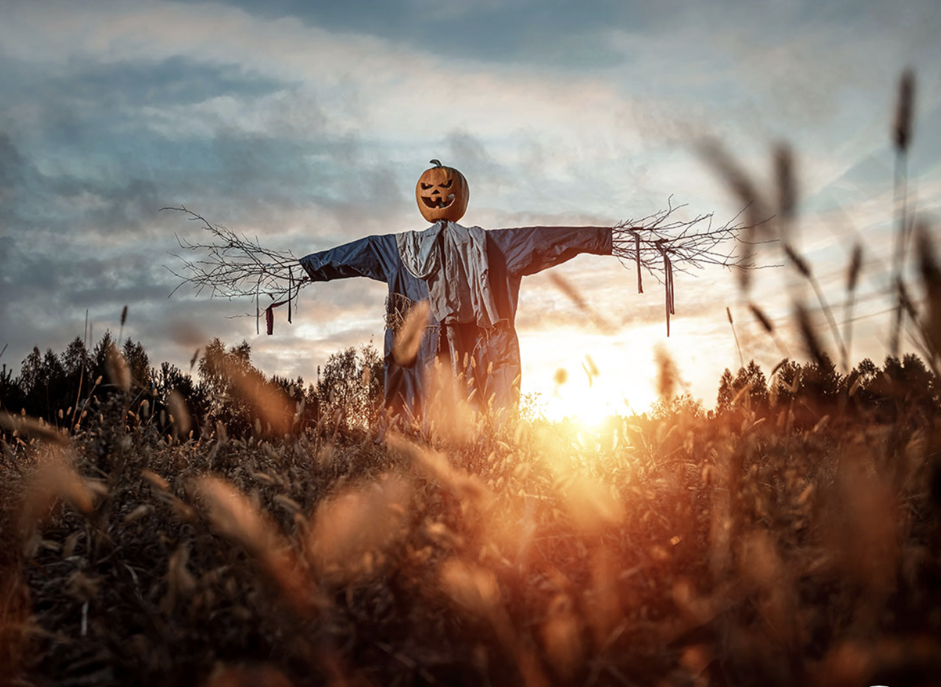 K3 Halloween Corn Maze Field of Screams