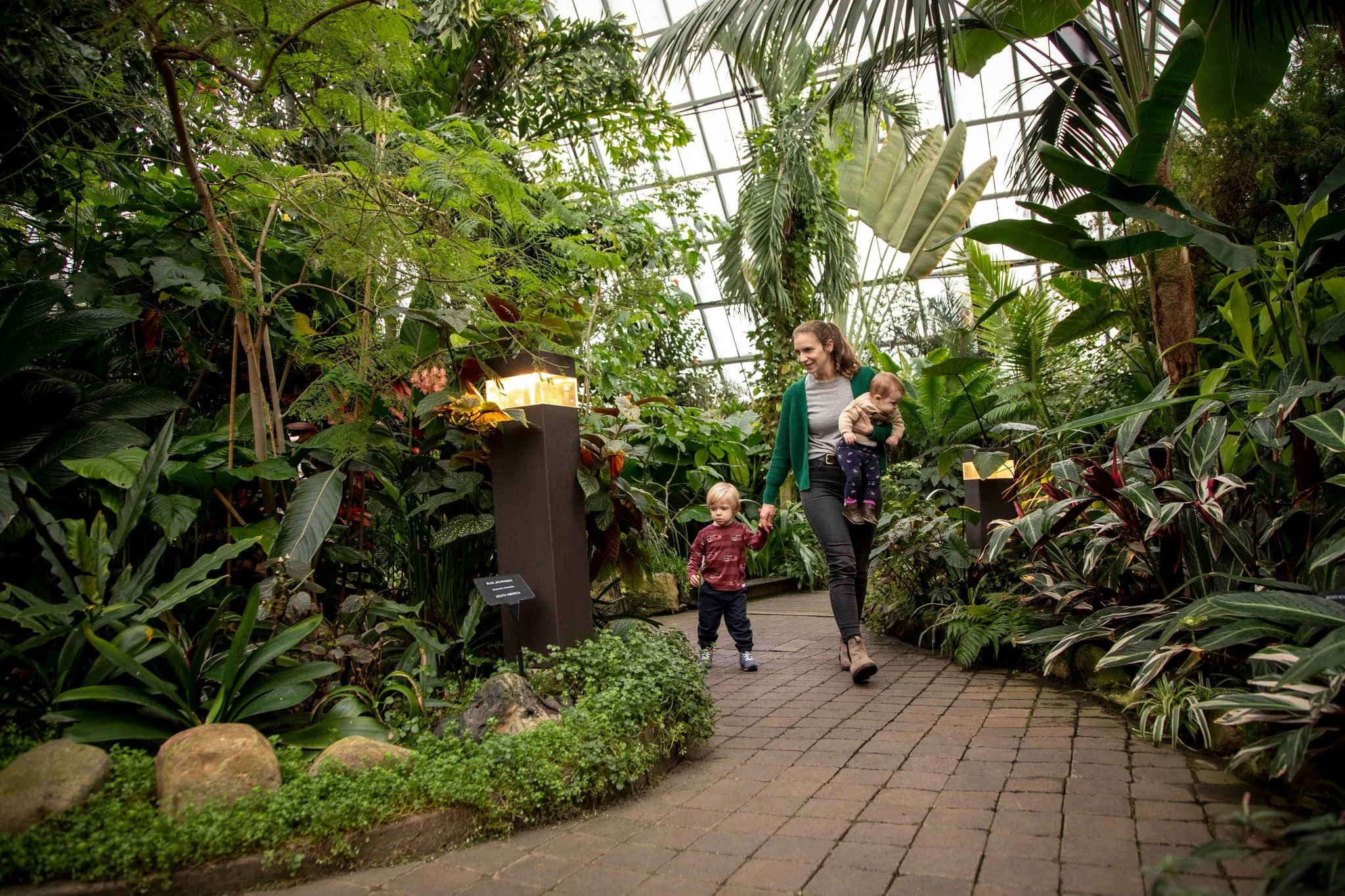 Noon Year's Bloom at Muttart