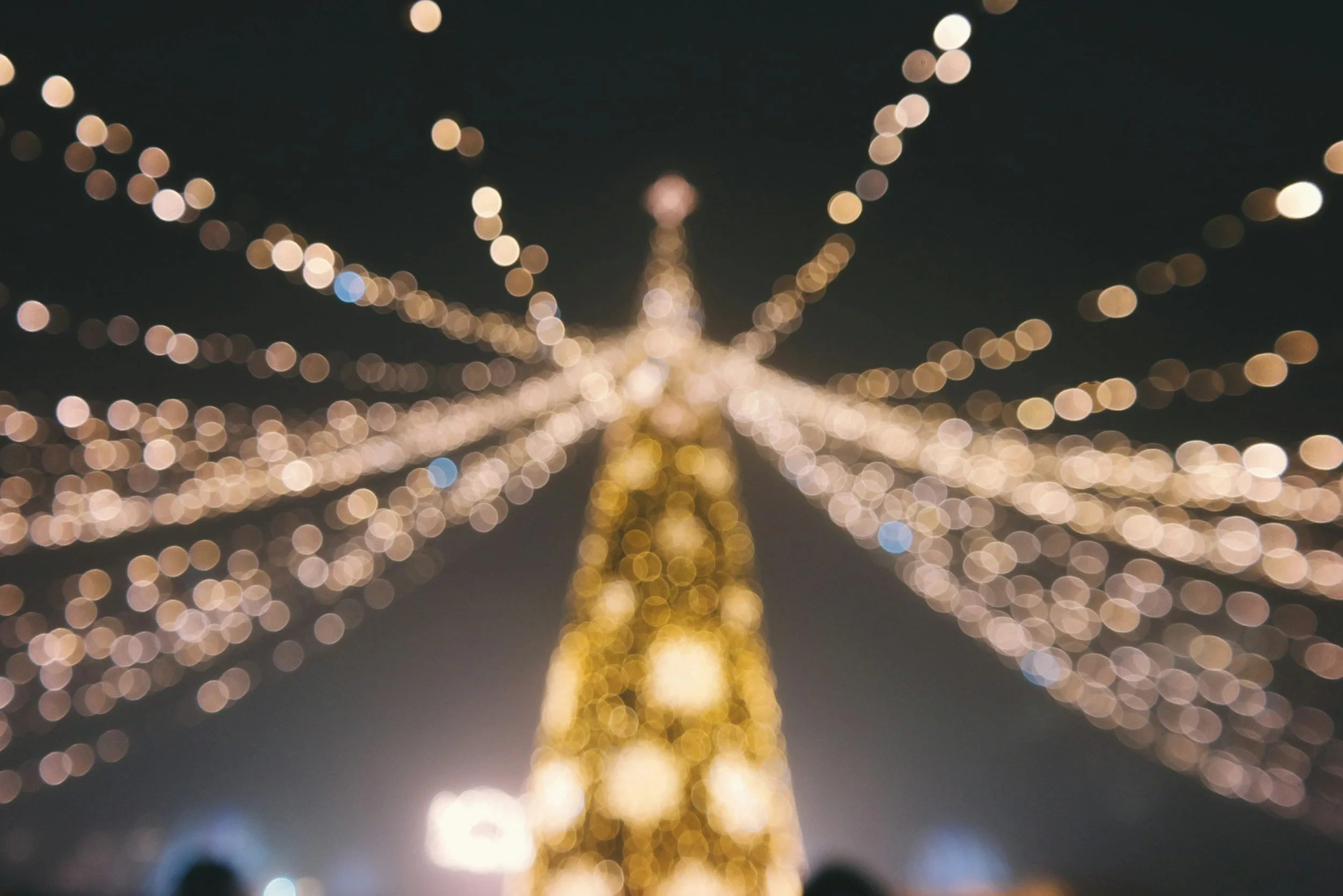 Christmas Light Up at Alberta Legislature Grounds