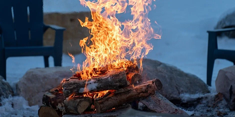 What to do with Kids this WEEK in Edmonton - November 17-21 