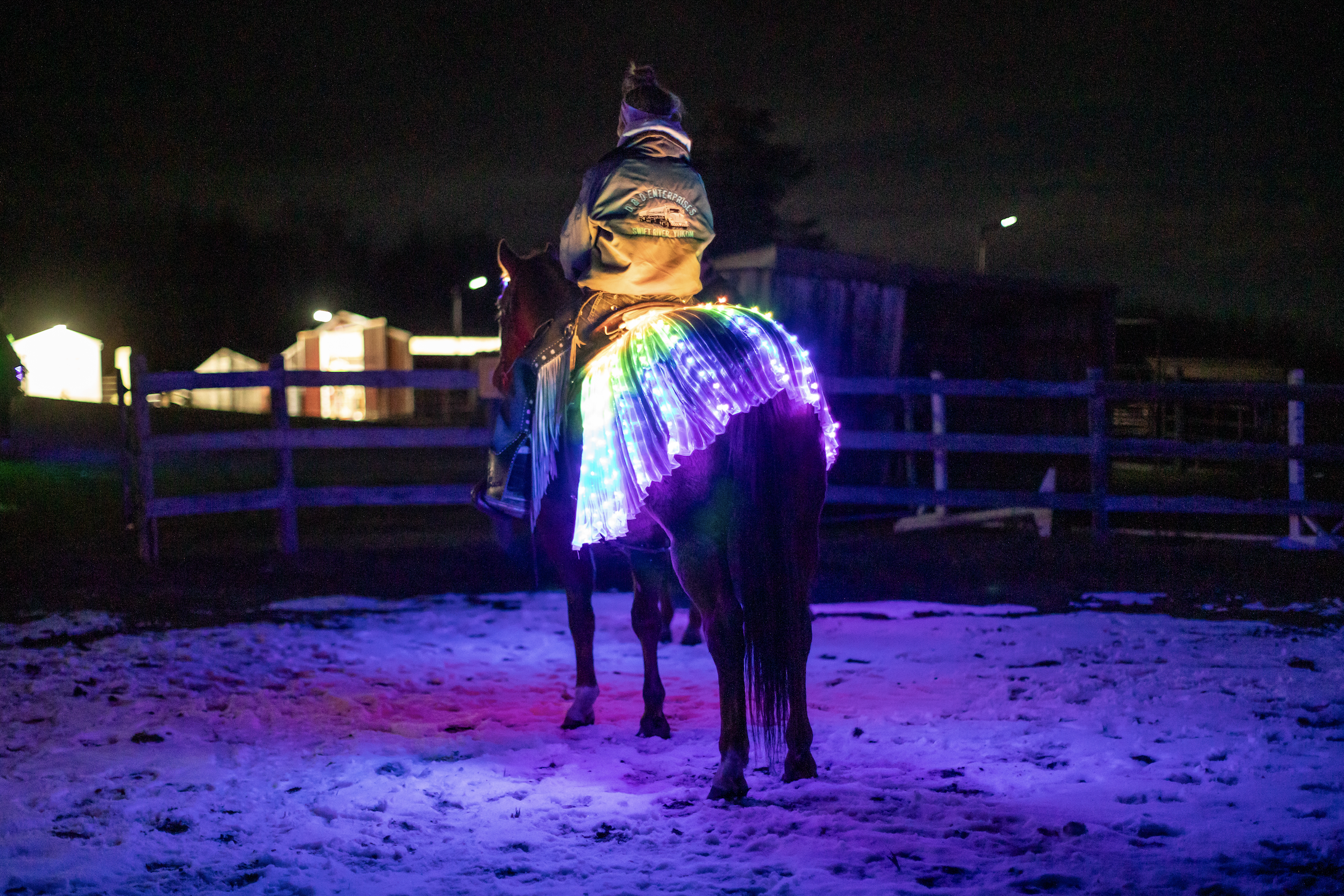 Find Magic on the Trail on a Holiday Sleigh Ride with Pigeon Lake Horse Drawn Rides