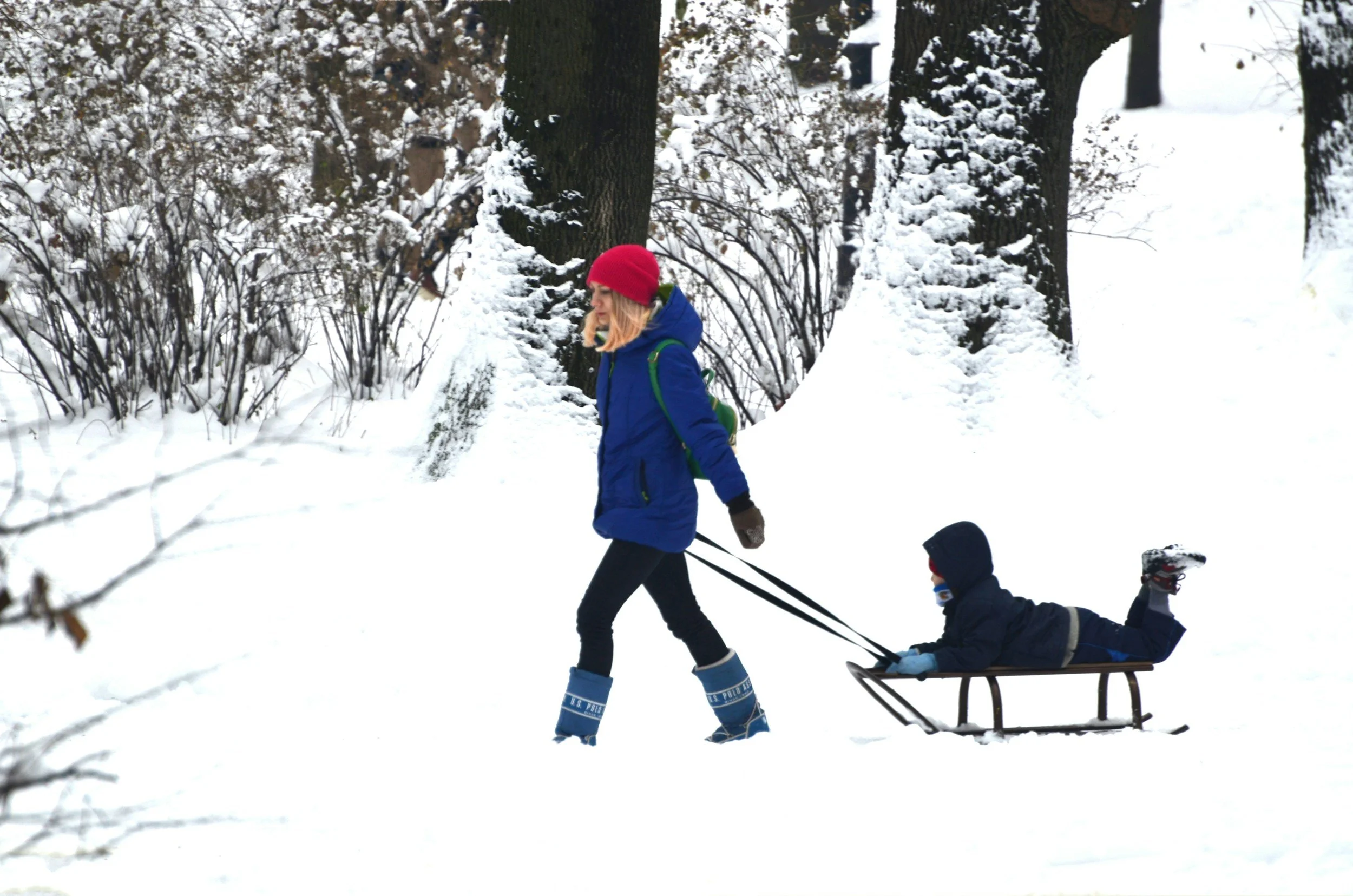 City of Edmonton Play Rangers: Snow Shoes and Snow Forts 