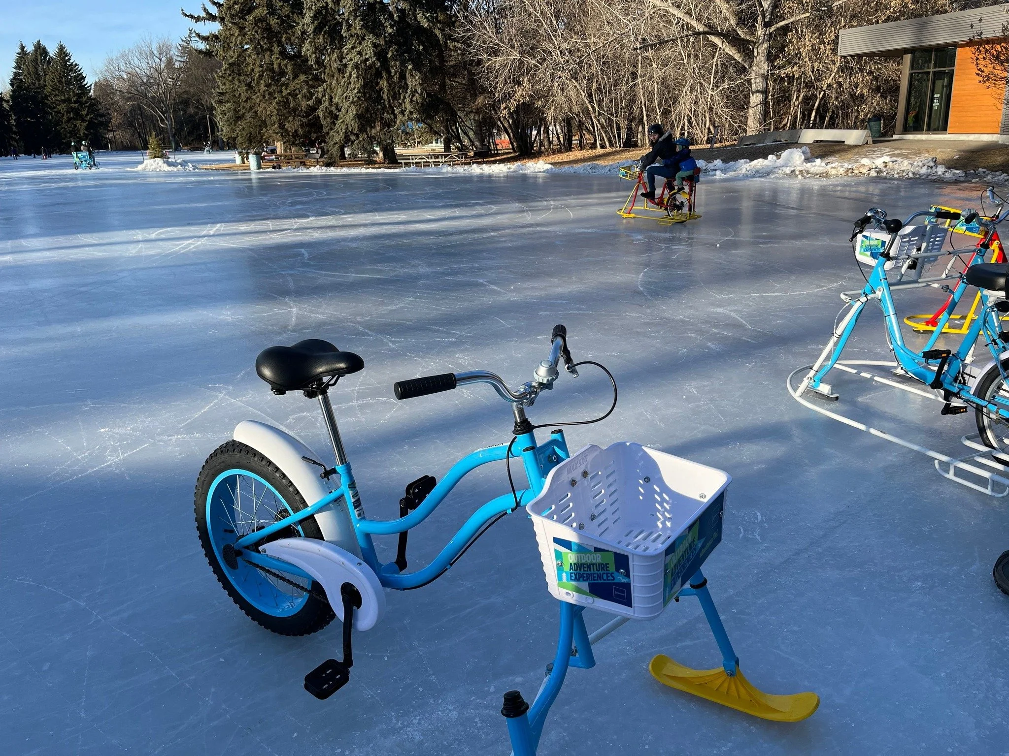 Weekday Fun Guide: What to do in Edmonton with Kids this Week - January 5-9, 2026