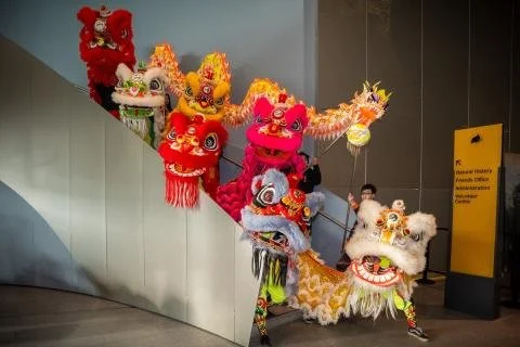Lunar New Year at Royal Alberta Museum