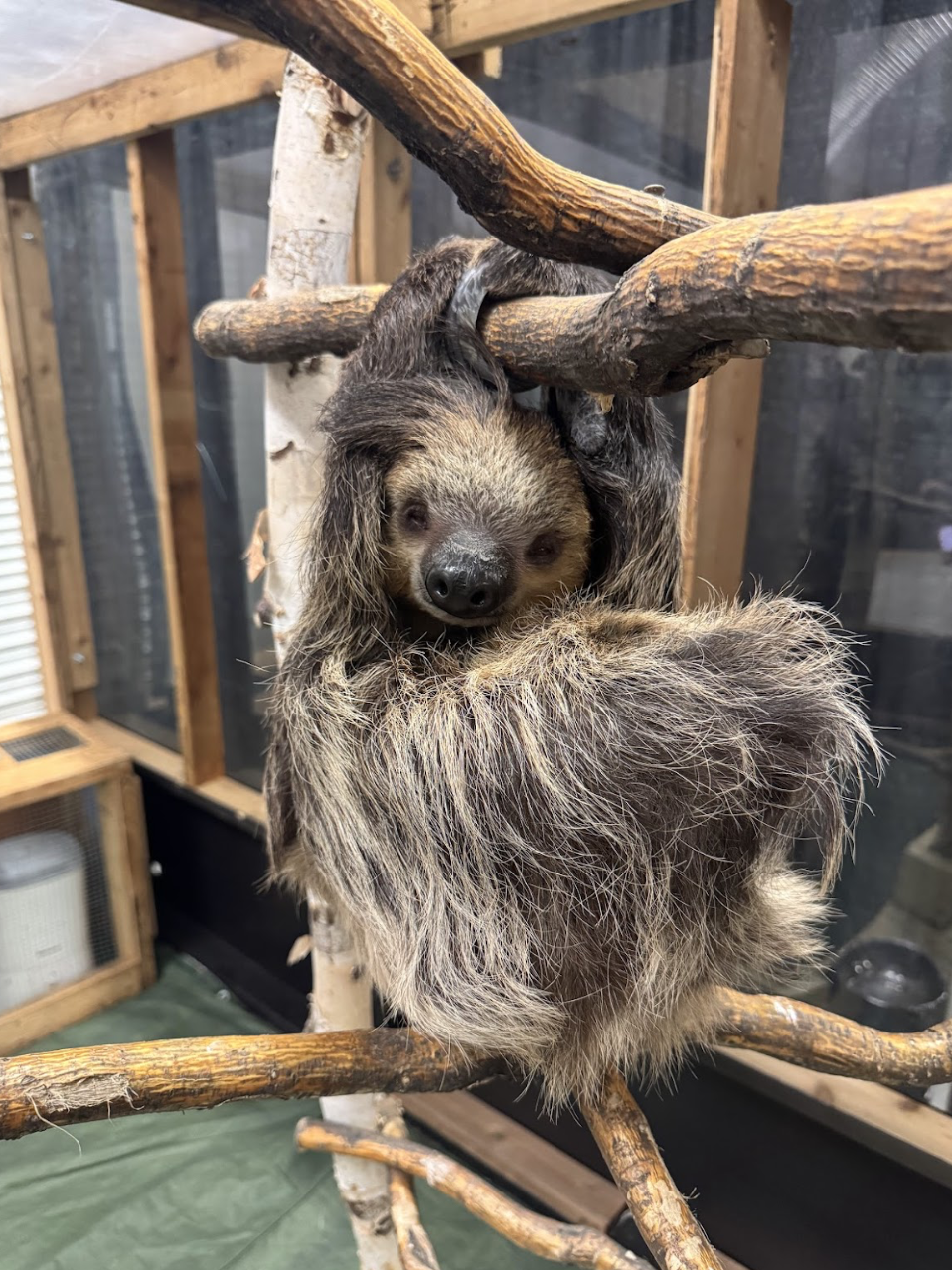 The Wildlife Festival - Edmonton.family .png