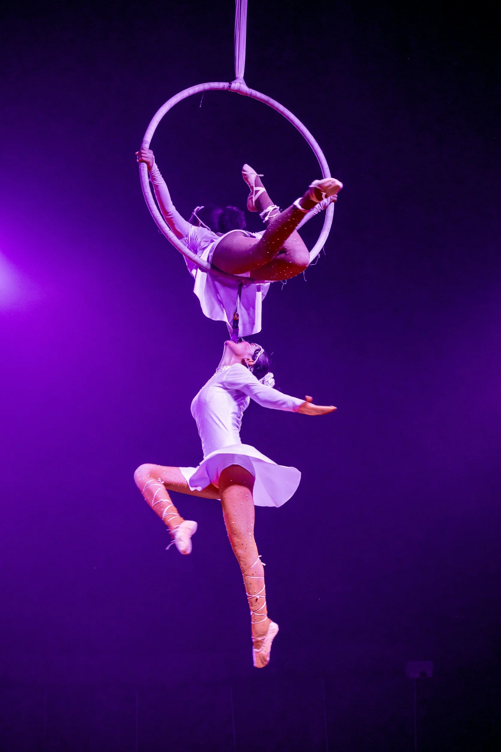 Alberta Circus & Arts Festival