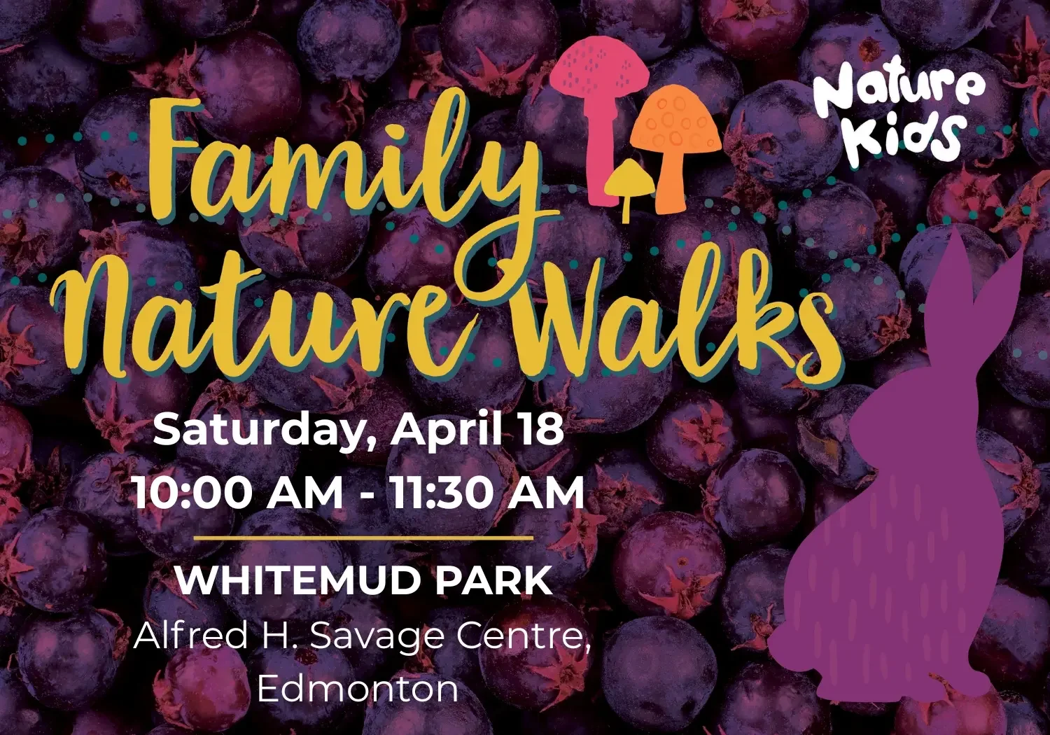 Family Nature Walk with Nature Alberta