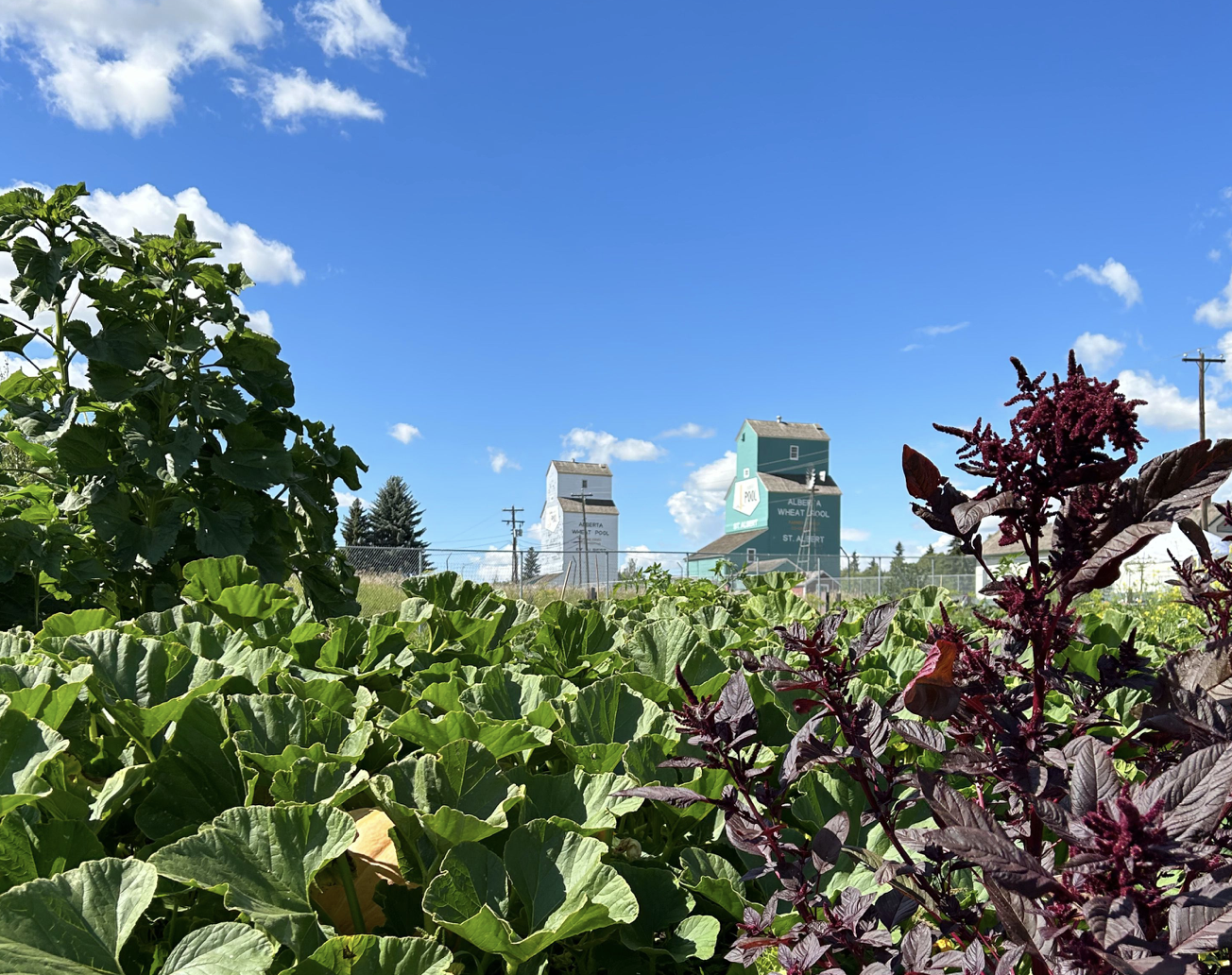 Season Opening Weekend at St. Albert Grain Elevator 