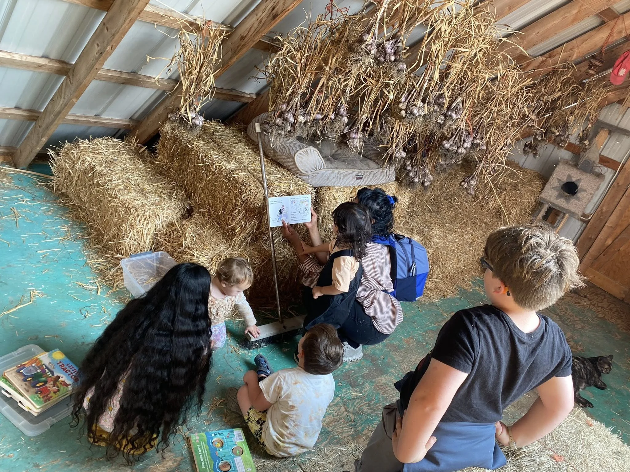 Spend Time on a Farm at this Friday-morning Farm Playgroup near Edmonton