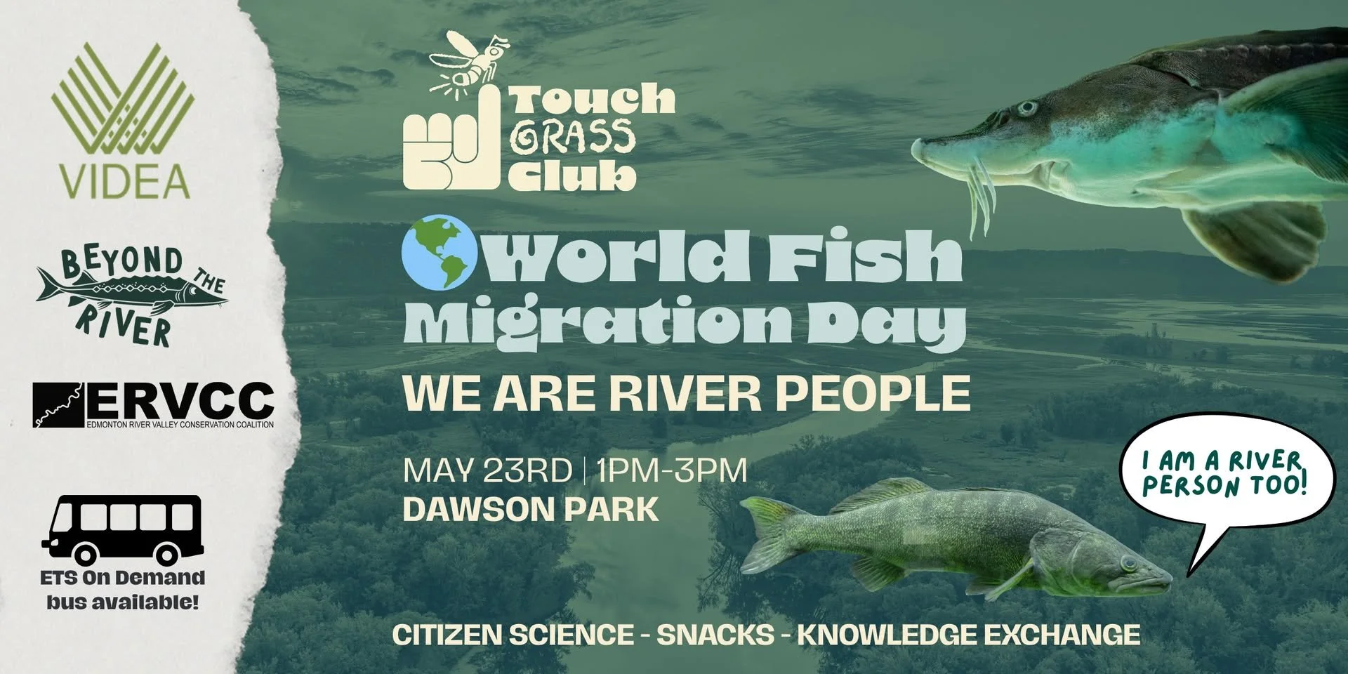 World Fish Migration Day