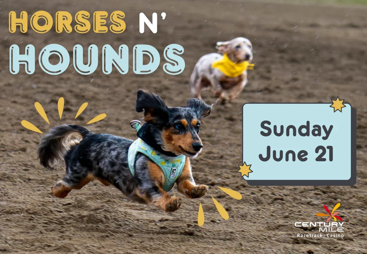 Free Horses N' Hounds at Century Mile Racetrack 