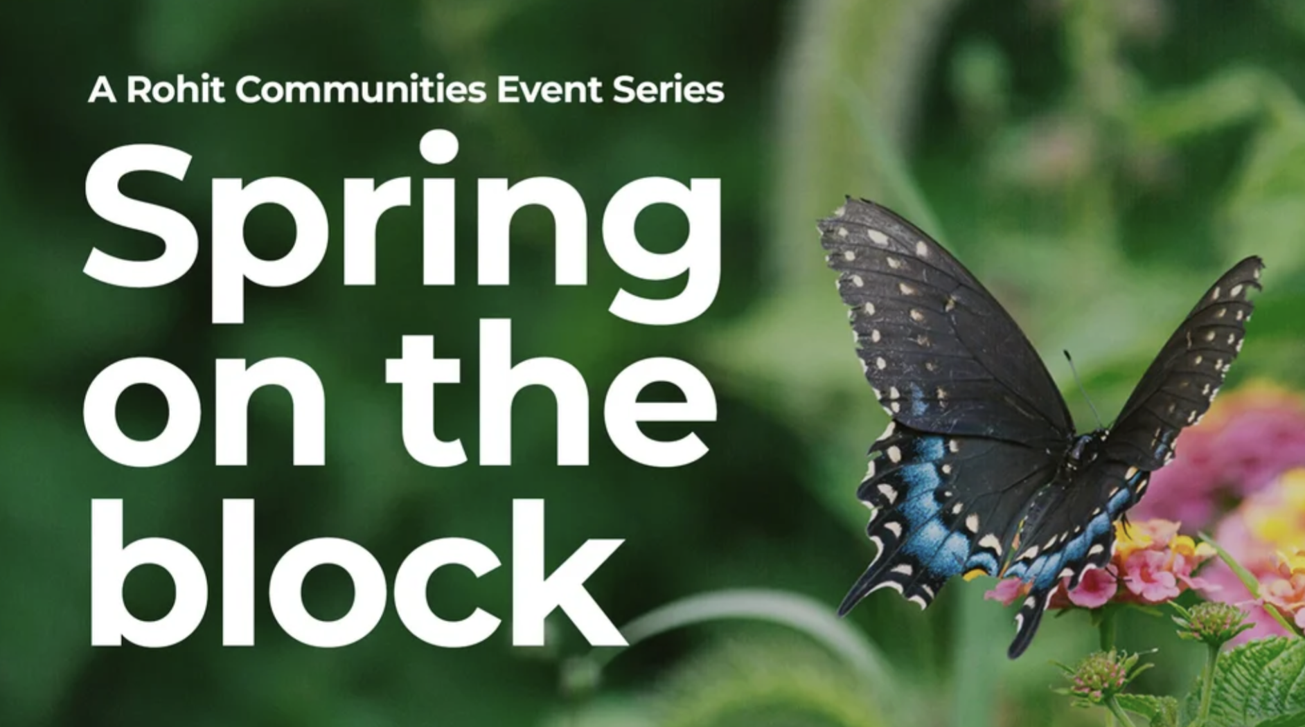 Spring on the Block at Cambrian 