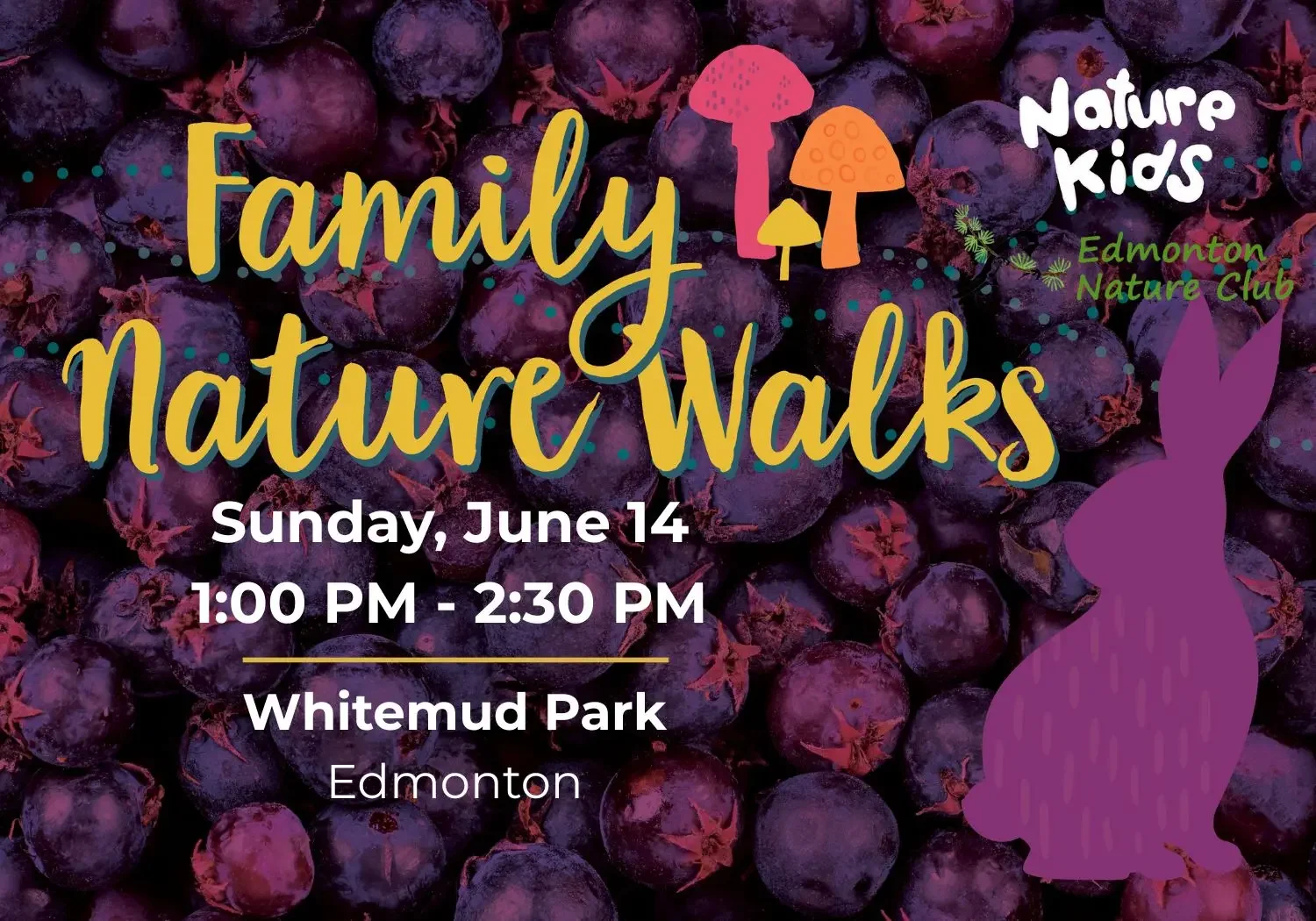 FREE Family Nature Walk at Gold Bar Park