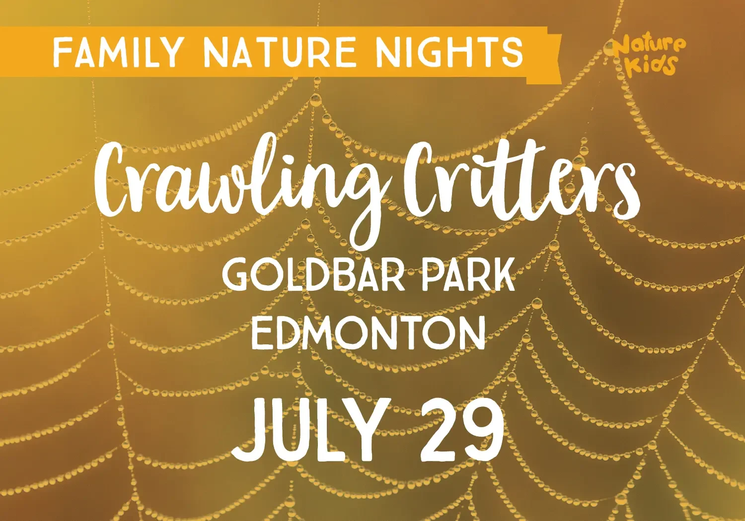 FREE Family Nature Nights: Crawling Critters 