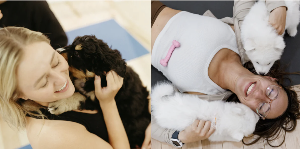 Edmonton Puppy Yoga Class
