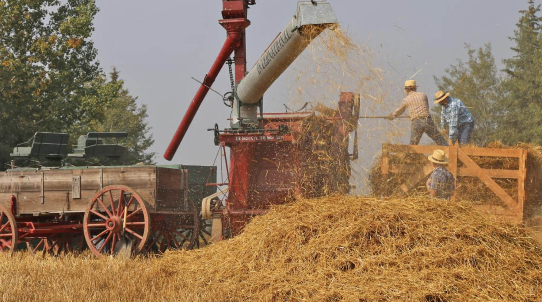 Harvest of the Past at Ukrainian Cultural Heritage Village