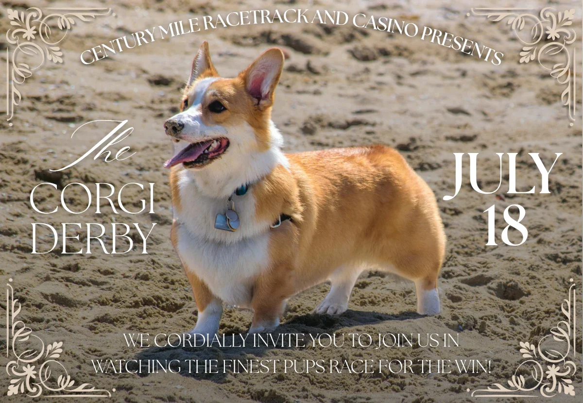 The Corgi Derby at Century Mile Racetrack and Casino