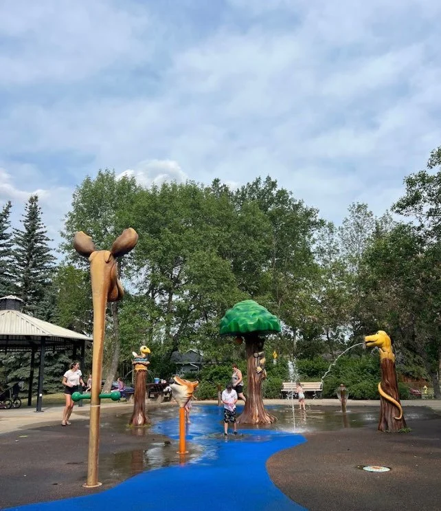 Children playing at a splash pad with animal-themed water fountains, including a giraffe, turtle, squirrel, and crocodile, in an outdoor park with trees and a pavilion.