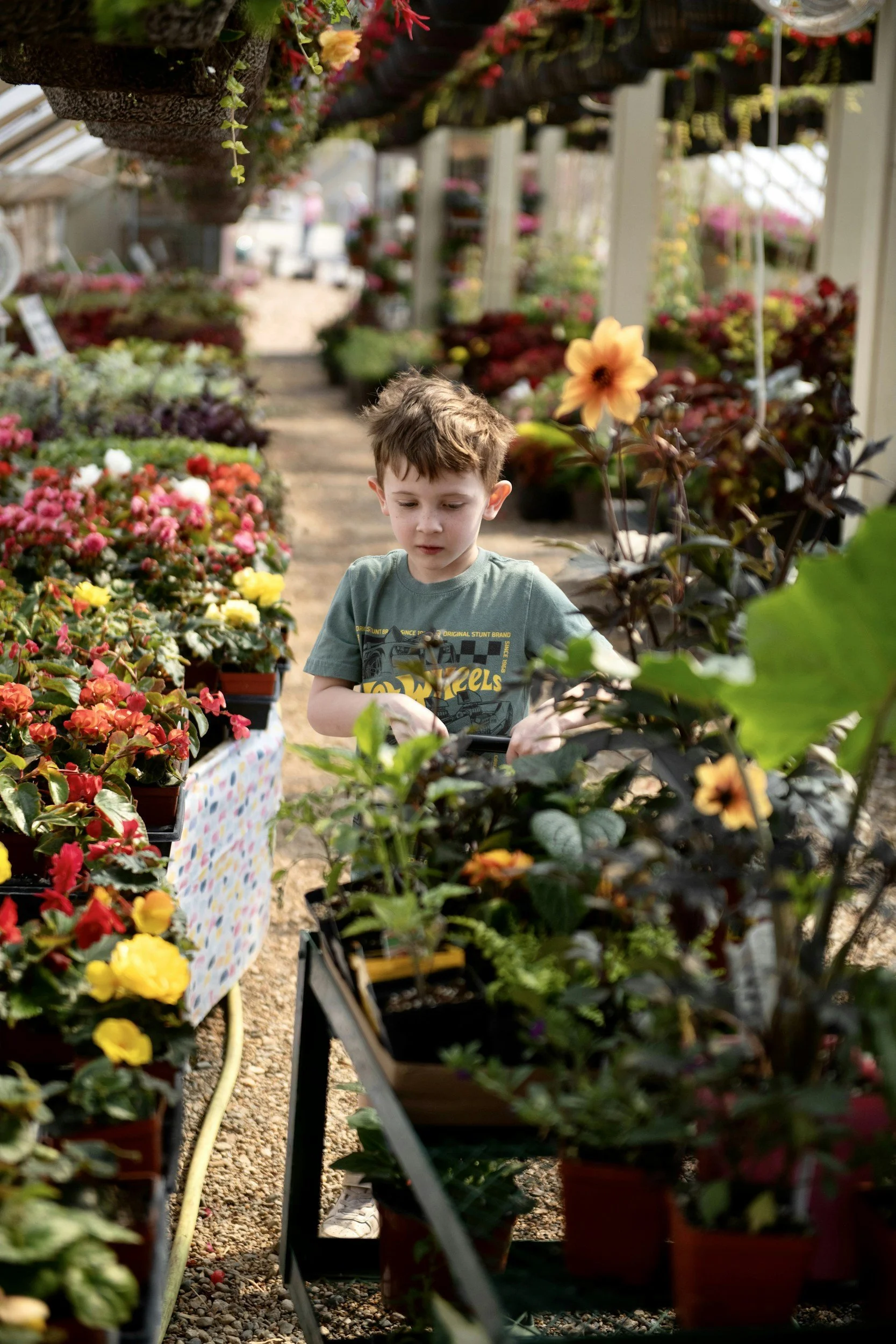 Cultivating Creativity: Fun and Educational Floral Activities for Edmonton Families