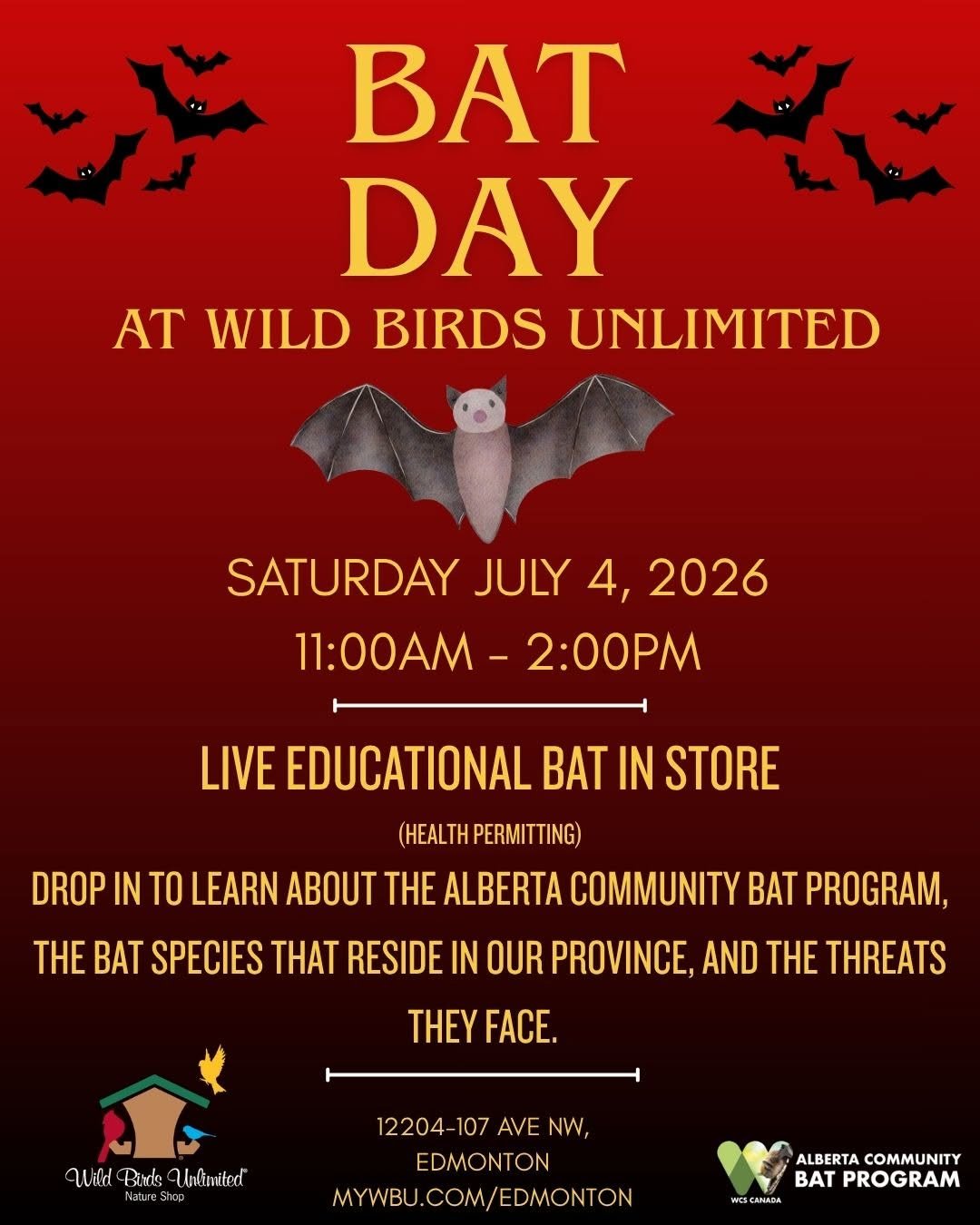 Bat Day at Wild Birds Unlimited