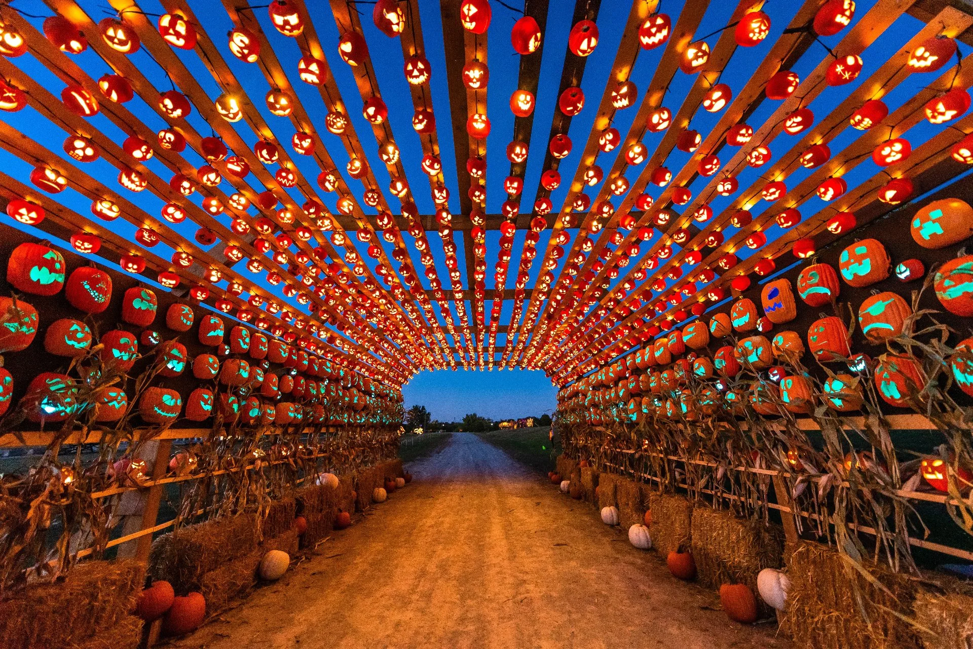 Pumpkins After Dark - Edmonton 2026 - Edmonton.family.jpg