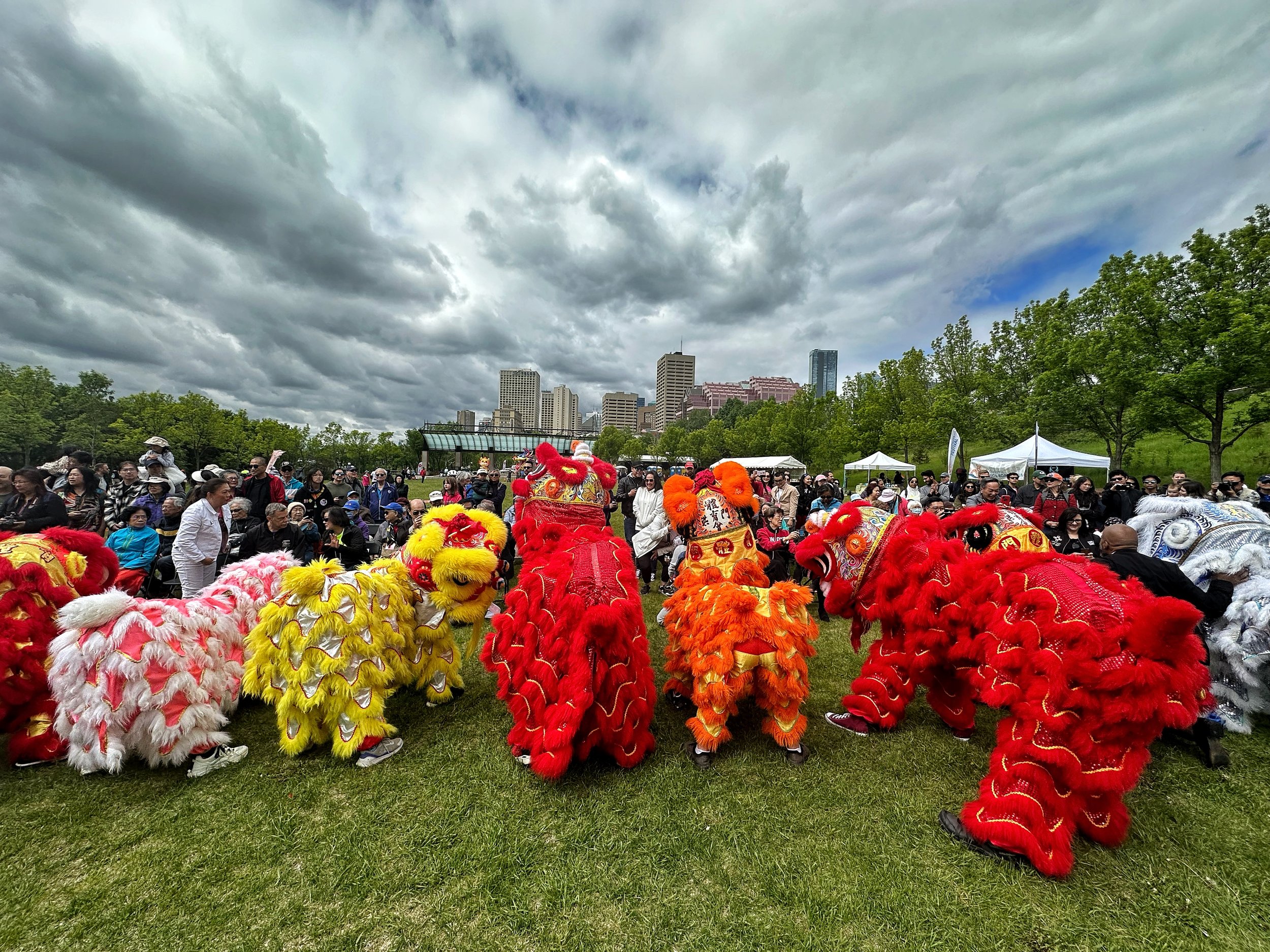Edmonton Dragon Boat Festival 