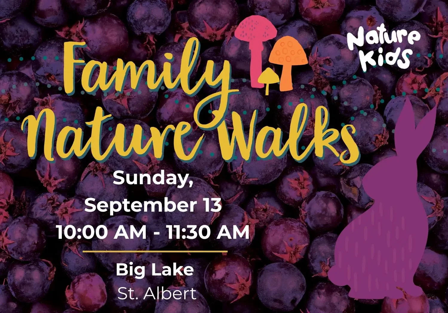 Family Nature Walk: Big Lake