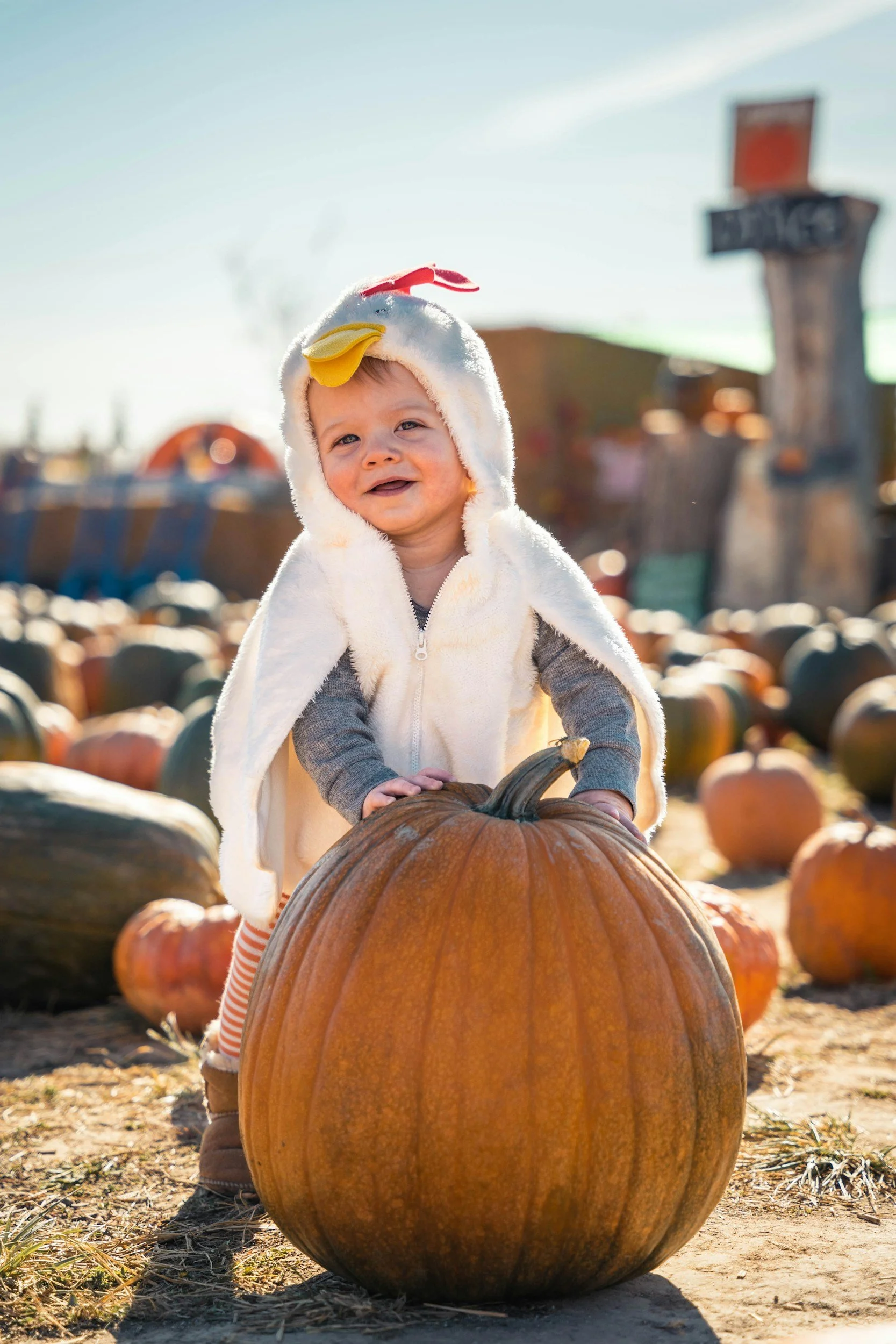 Graveyard Groove & Trunk or Treat at Heritage Park