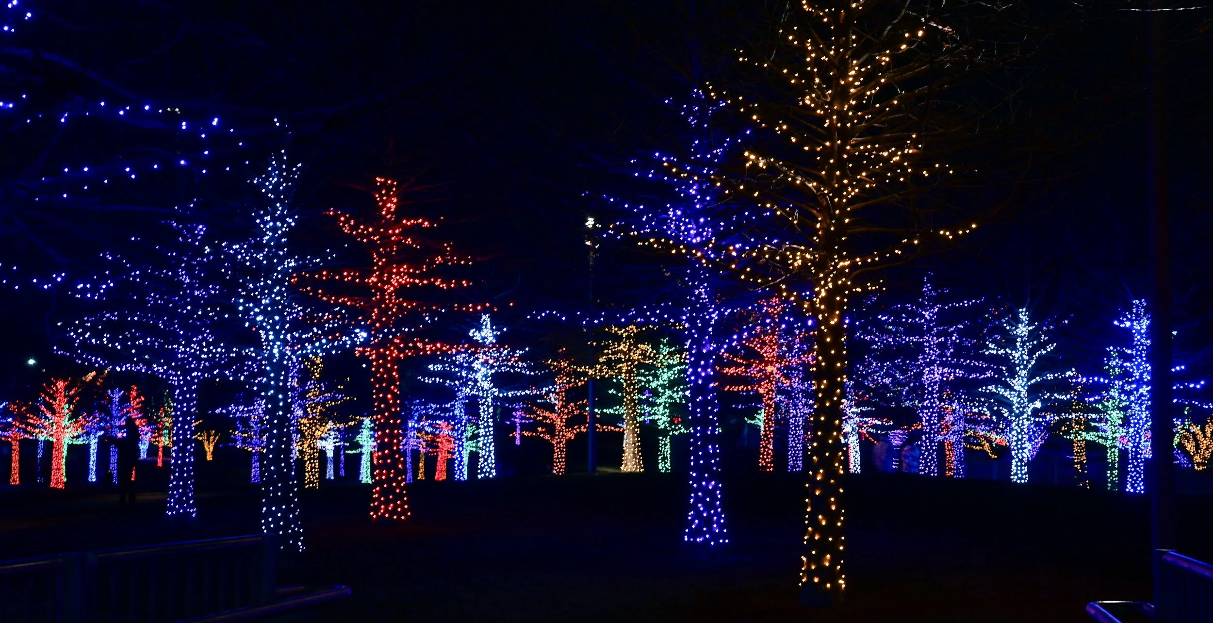 St. Albert Snowflake Festival