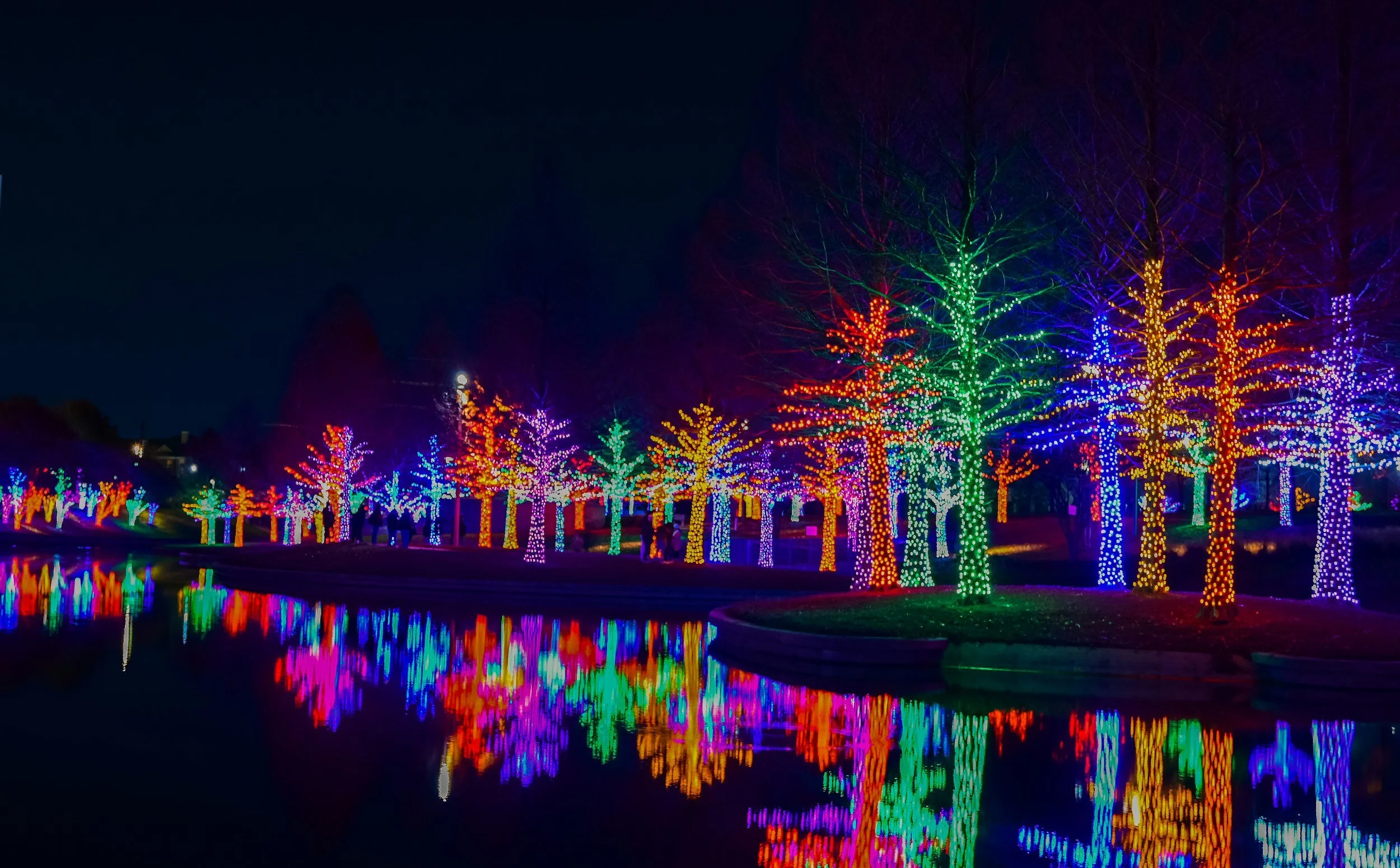 Winterfest Holiday Light Up in Stony Plain