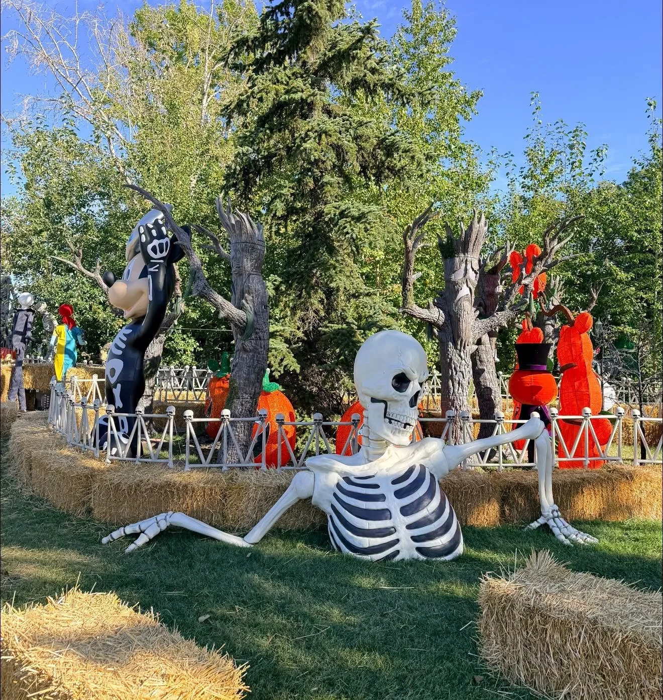 Maisie's Magical Halloween House - Edmonton.family.jpeg