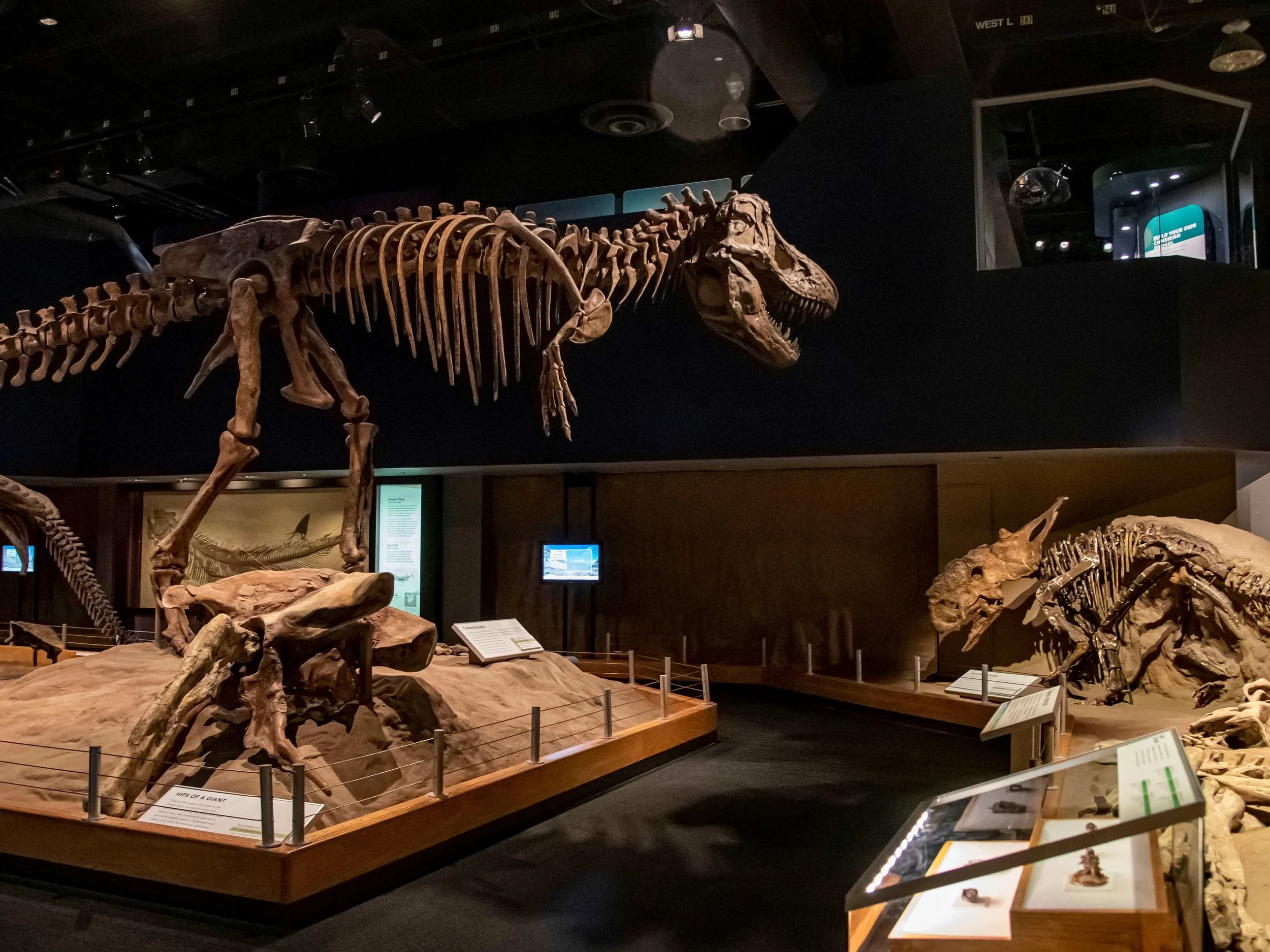 Camp In Overnight at the Royal Tyrrell Museum: A Dinosaur Adventure Worth the Drive from Edmonton