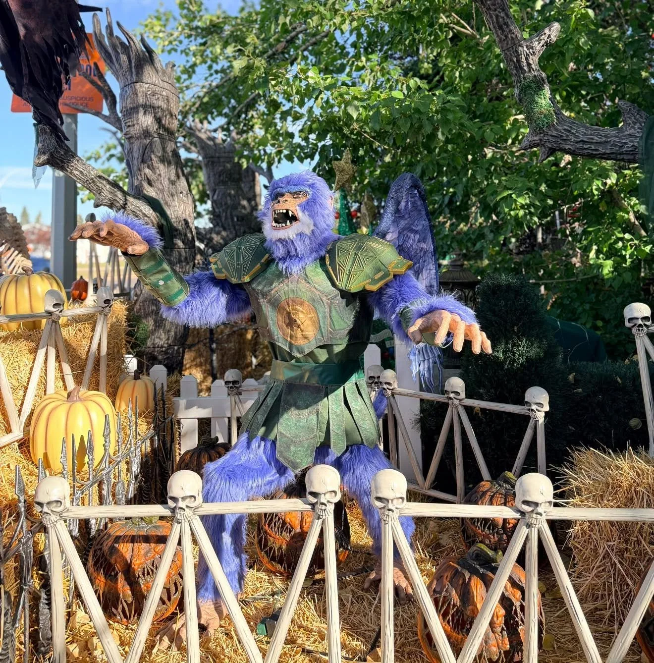 Maisie's Magical Halloween Goblin House - Edmonton.family.jpeg