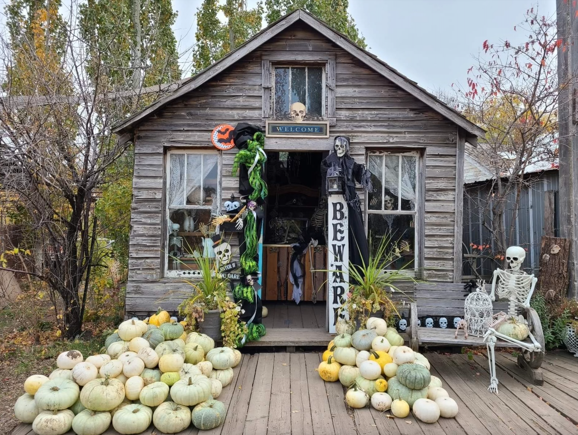 Things to do with Kids in October - Edmonton.family