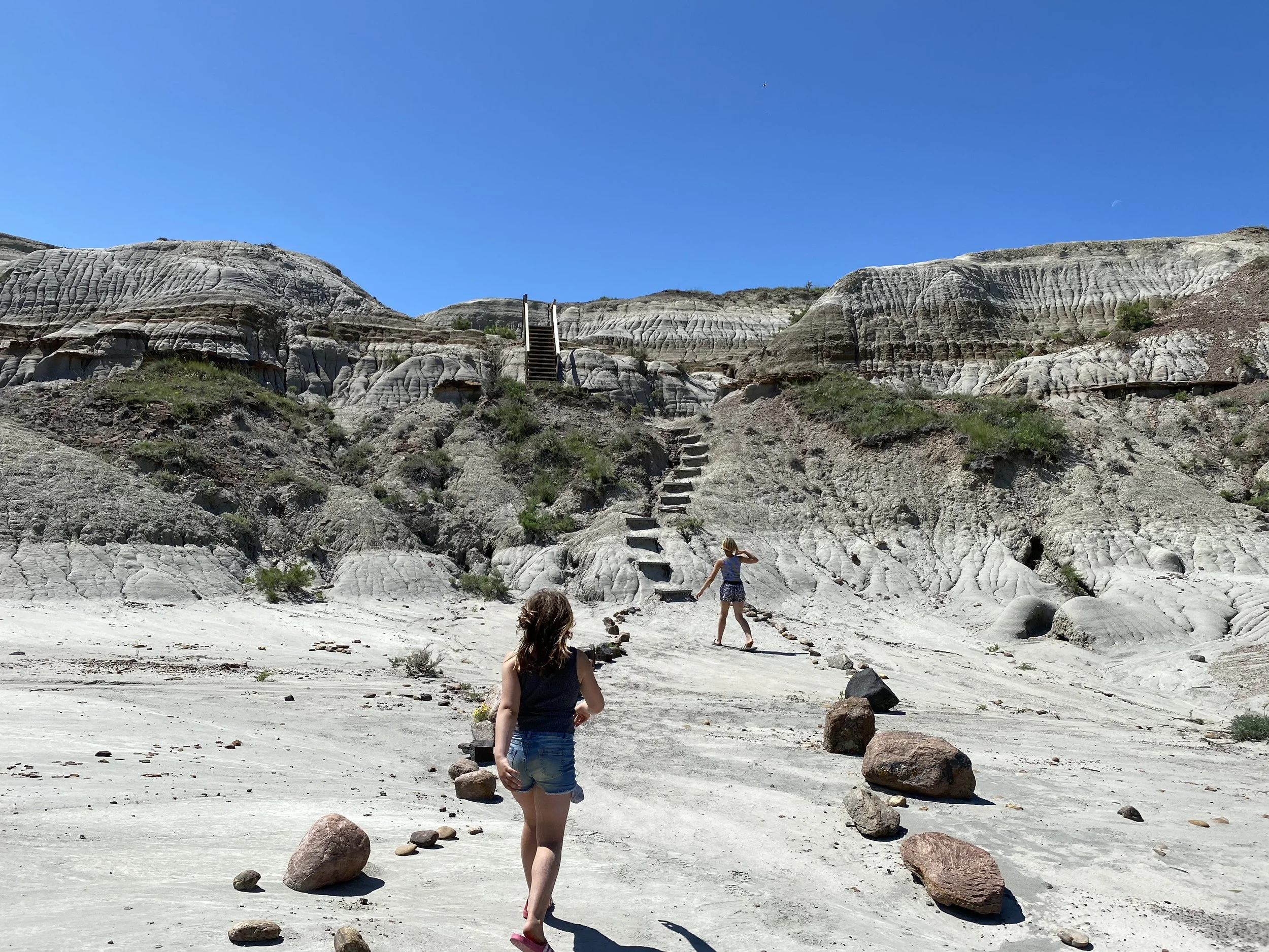 Dinosaur Provincial Park Travel Guide - Edmonton.family Updated 2026