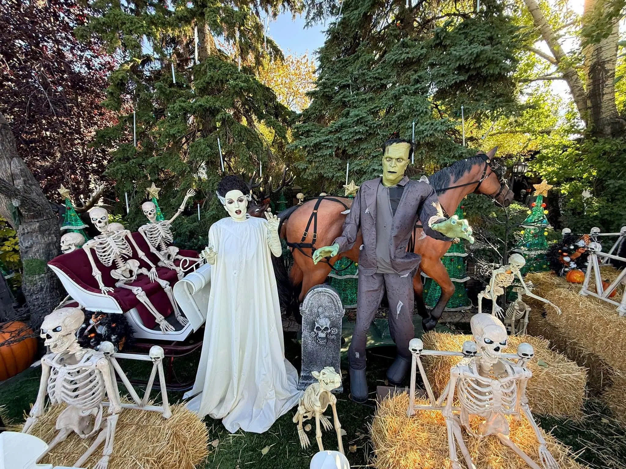 Maisie's Magical Halloween House Display - Edmonton.family.jpeg