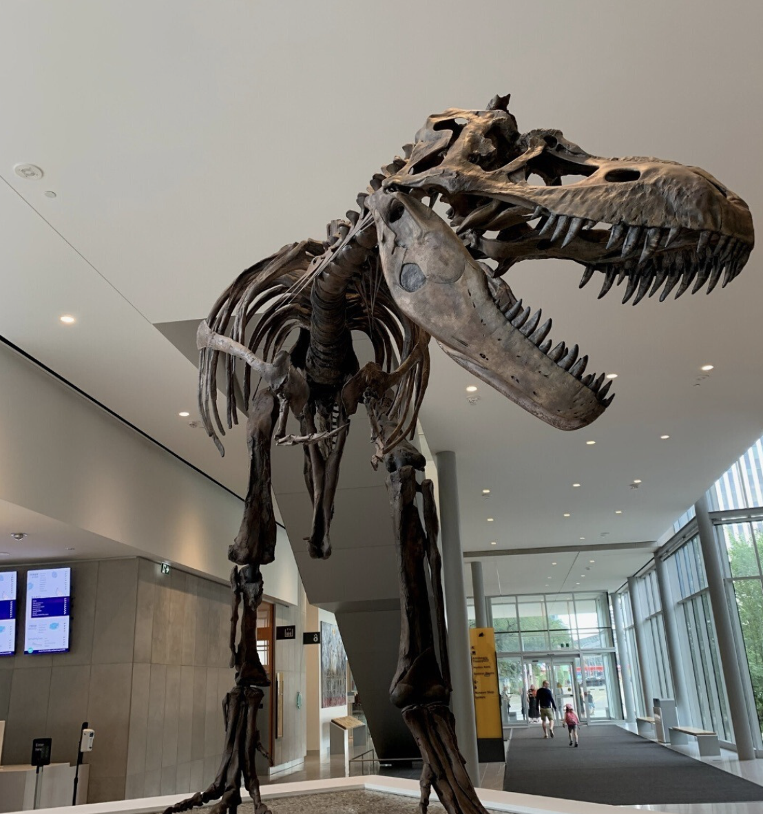 Things to do with Kids in February - Edmonton.family
