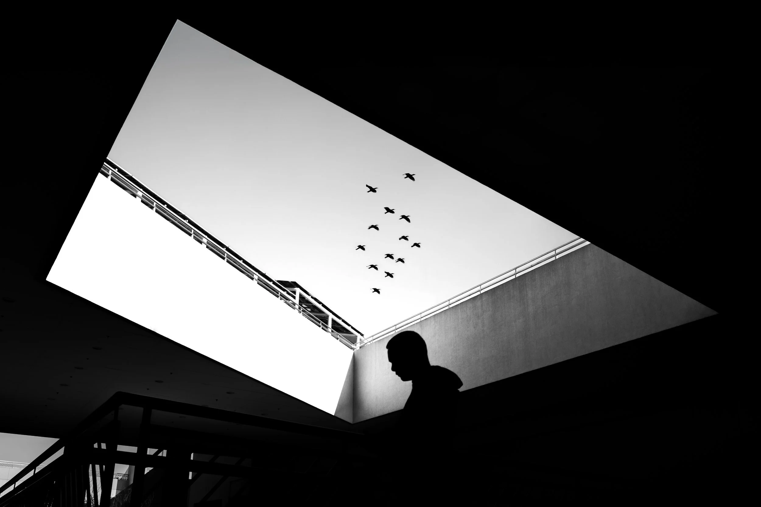 MOA -HERO SHOT - brighter.jpg