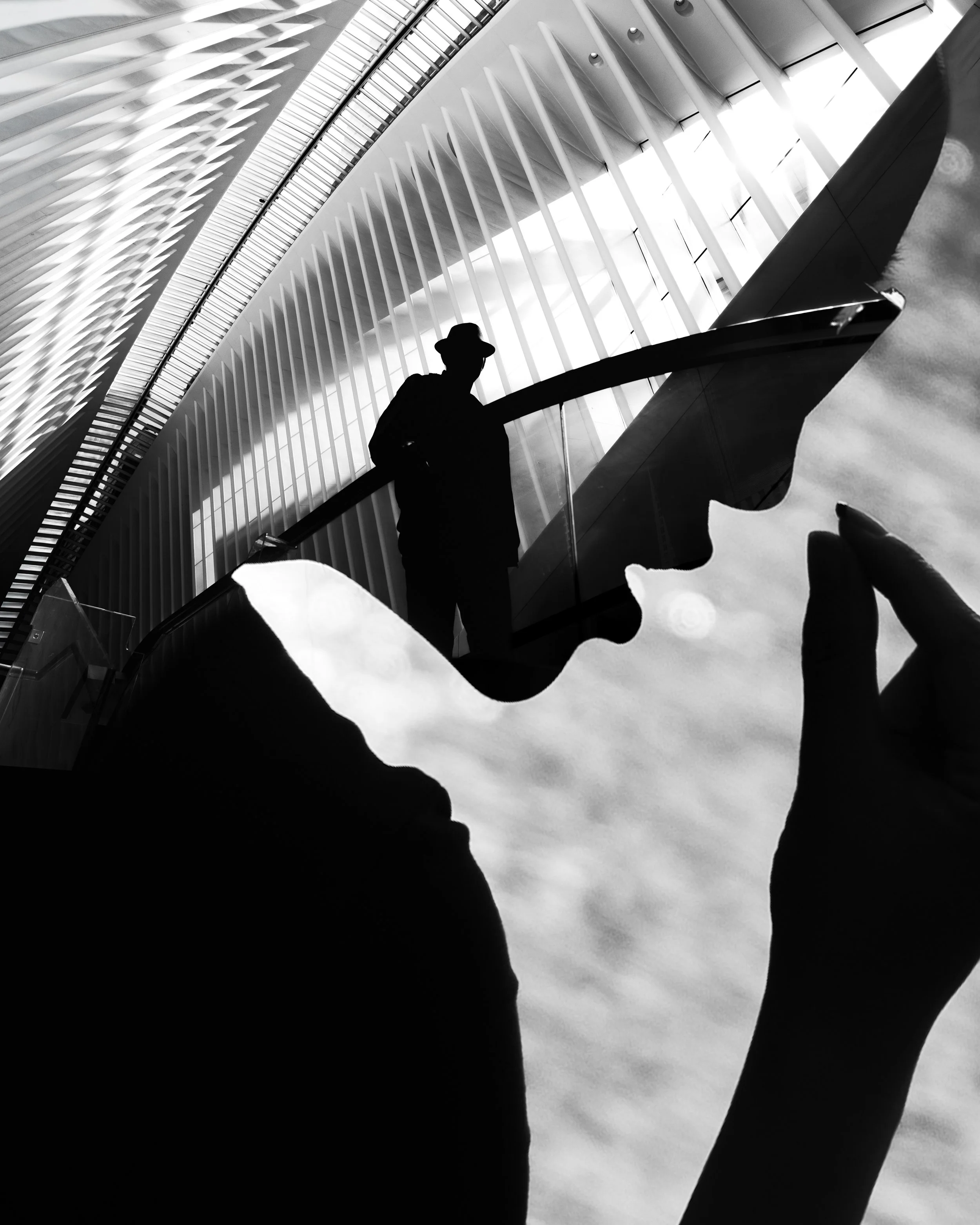 double expo - hatman lady face - vert.jpg