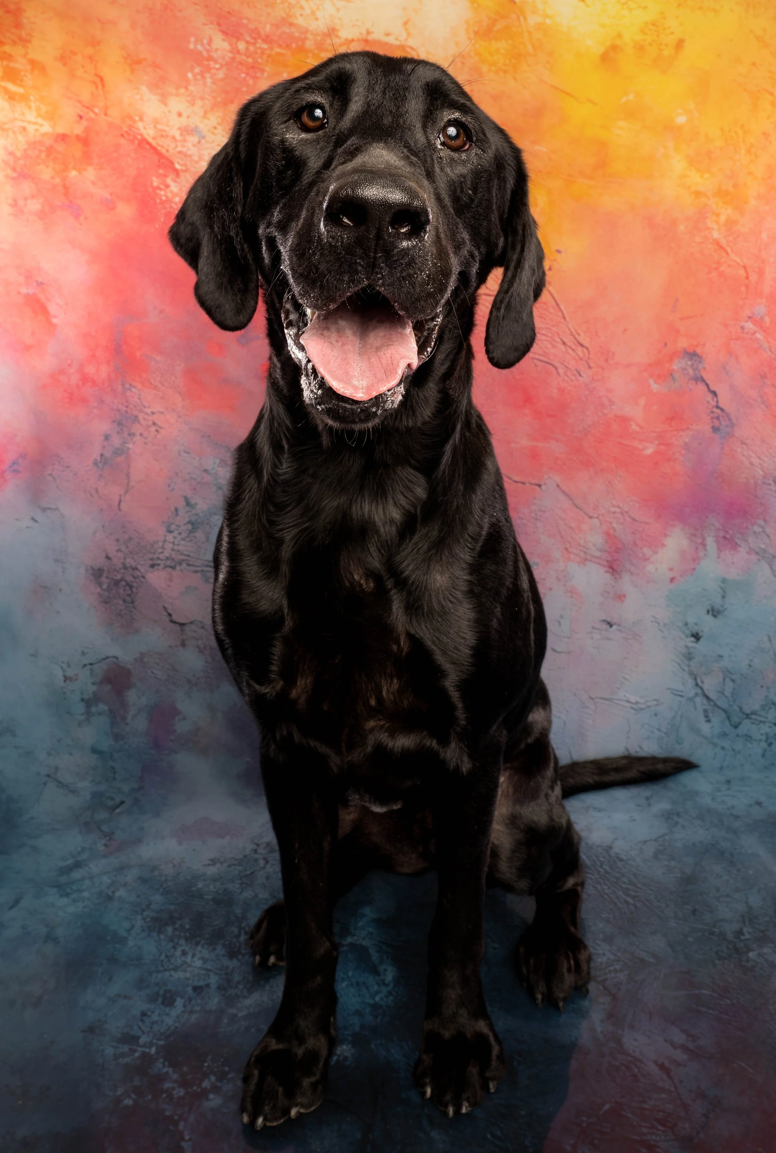 DOG_1045.jpg