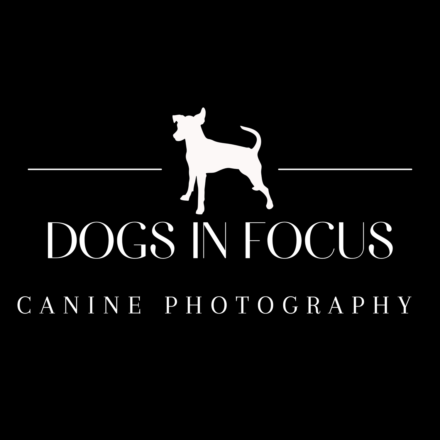 Dogs in Focus