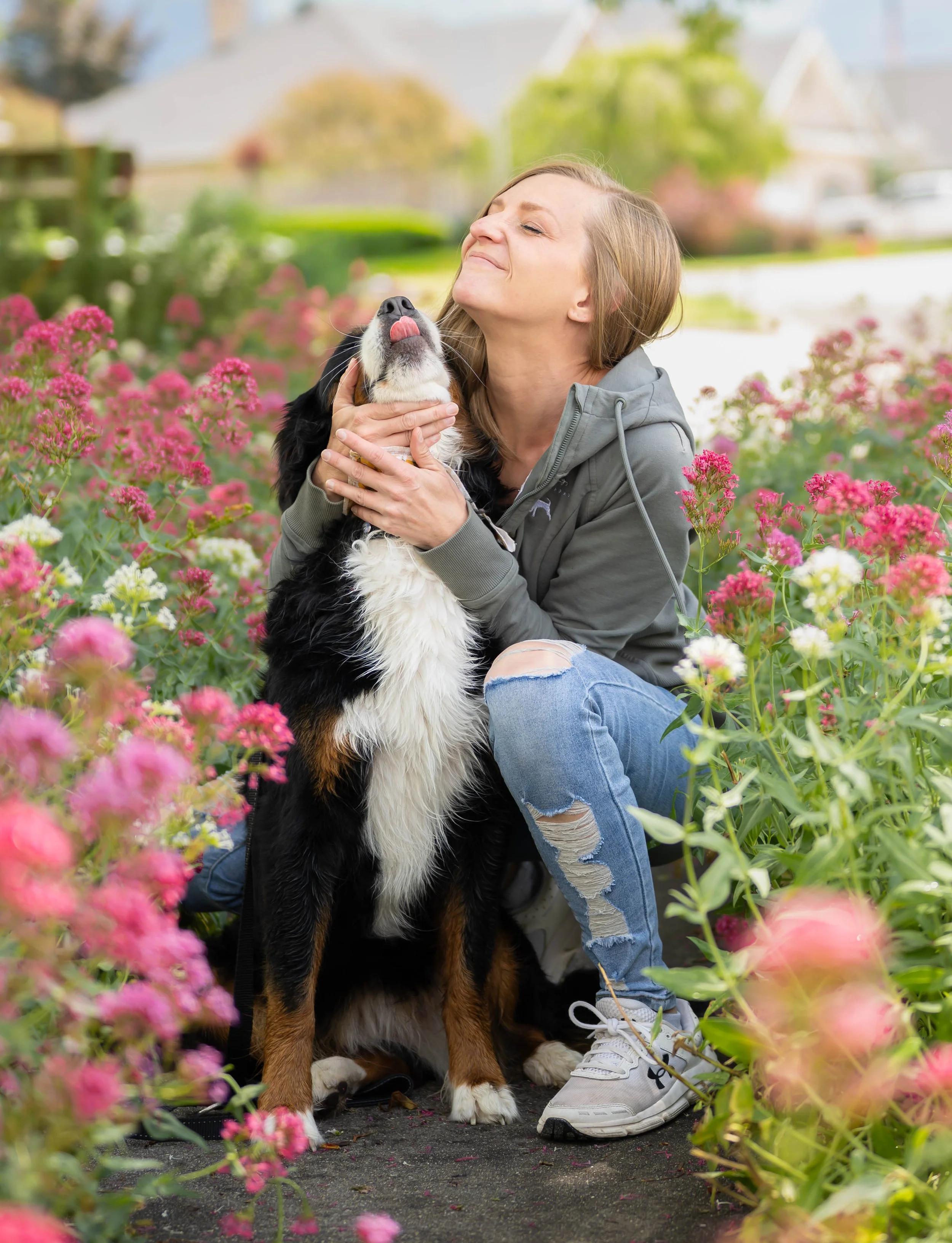 A woman with shoulder-length blonde hair smiling and hugging a large Bernese mountain dog amidst colorful pink and white flowers in a garden.