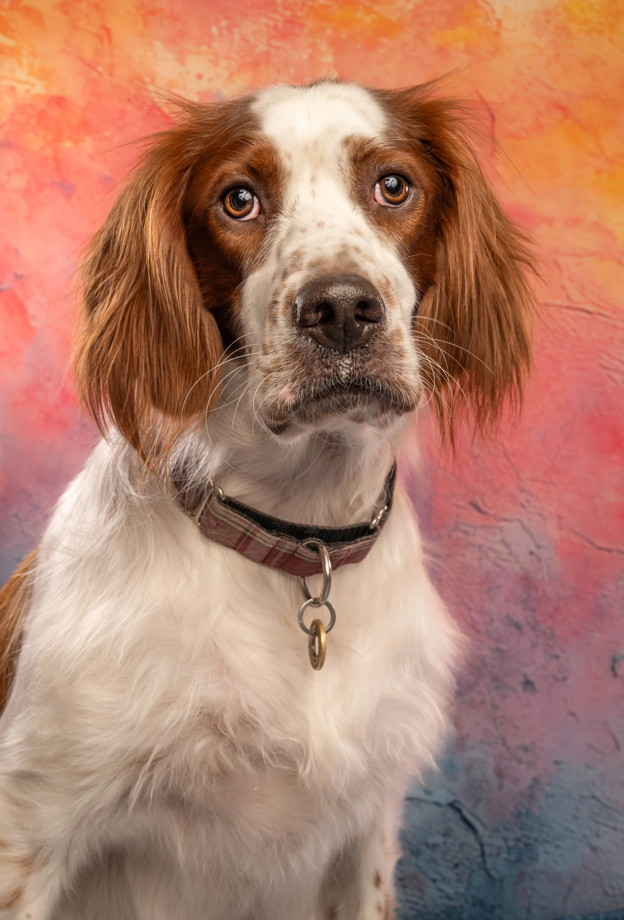 DOG_0983.jpg