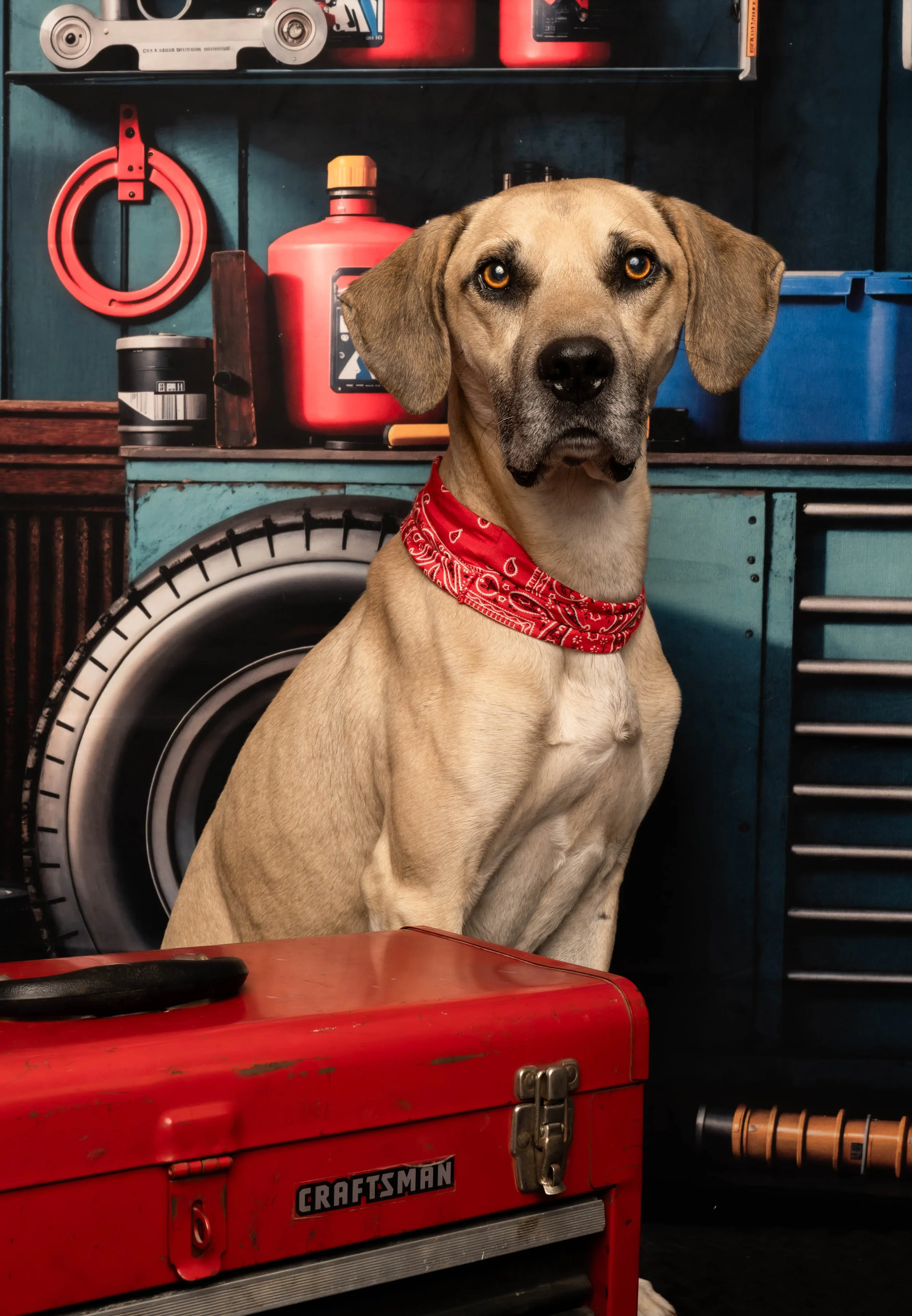 DOG_2024.jpg