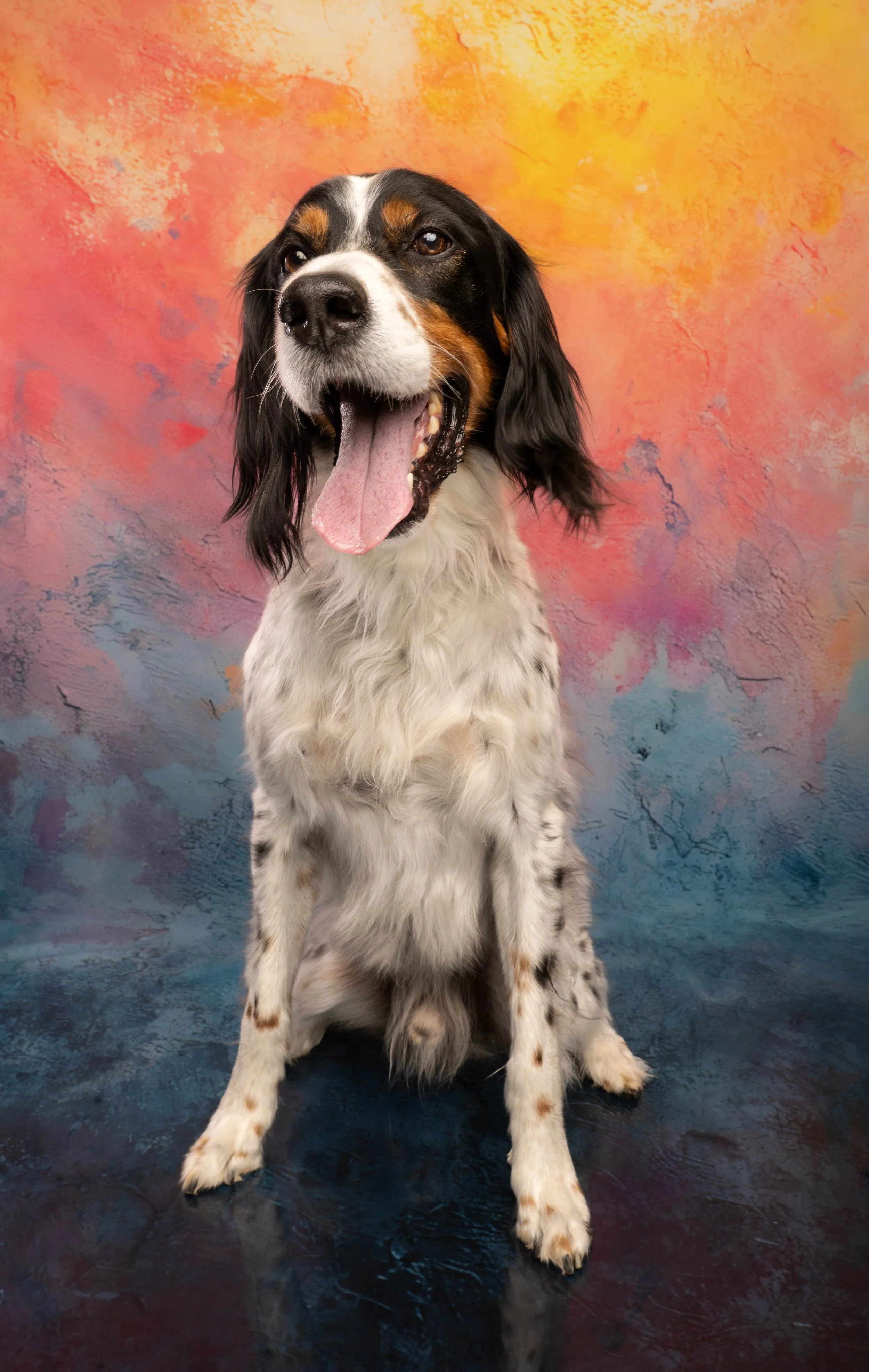 DOG_0801.jpg